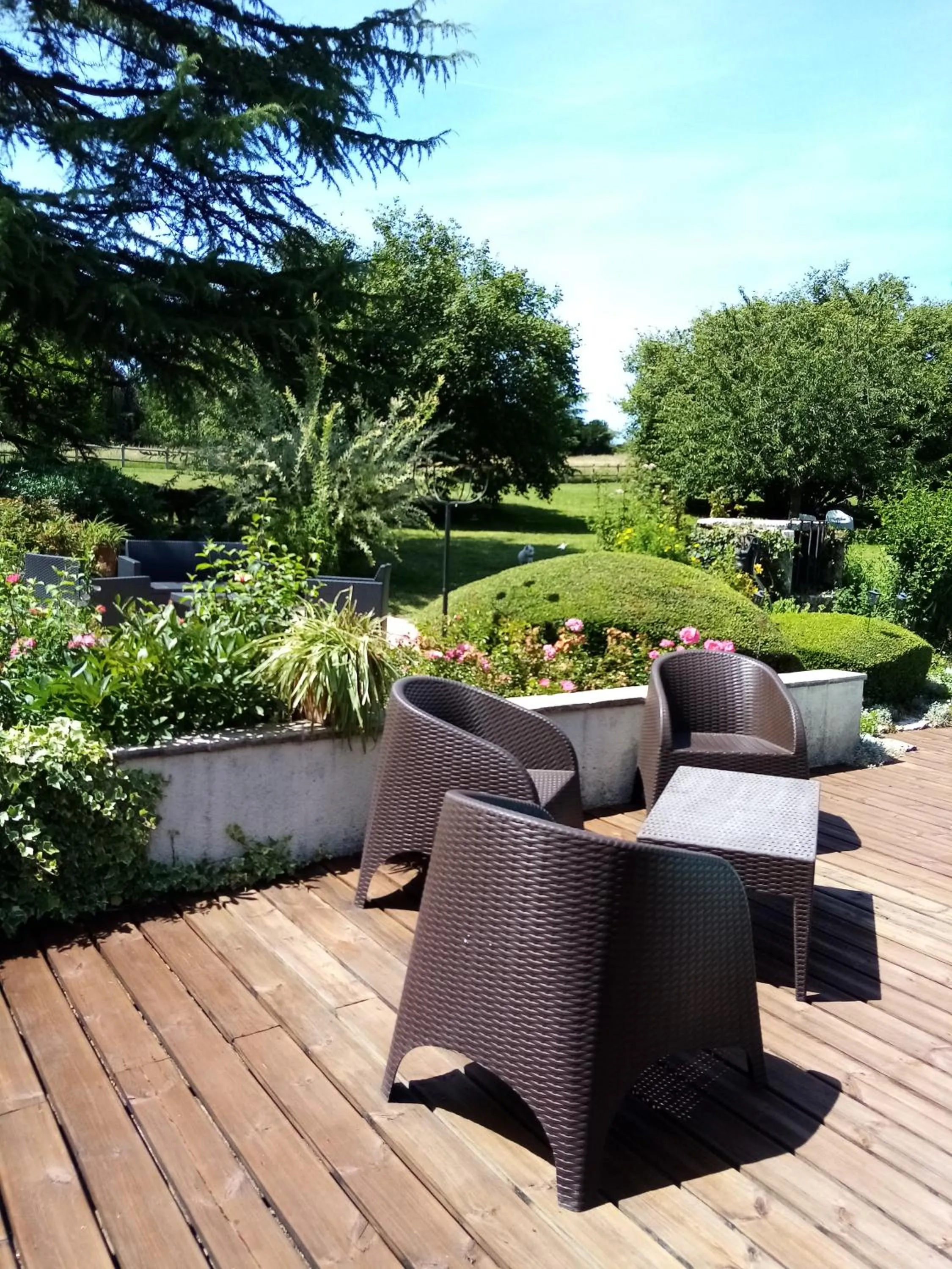 Garden in Traînefeuilles - Chambres d'hôtes proche Zoo de Beauval