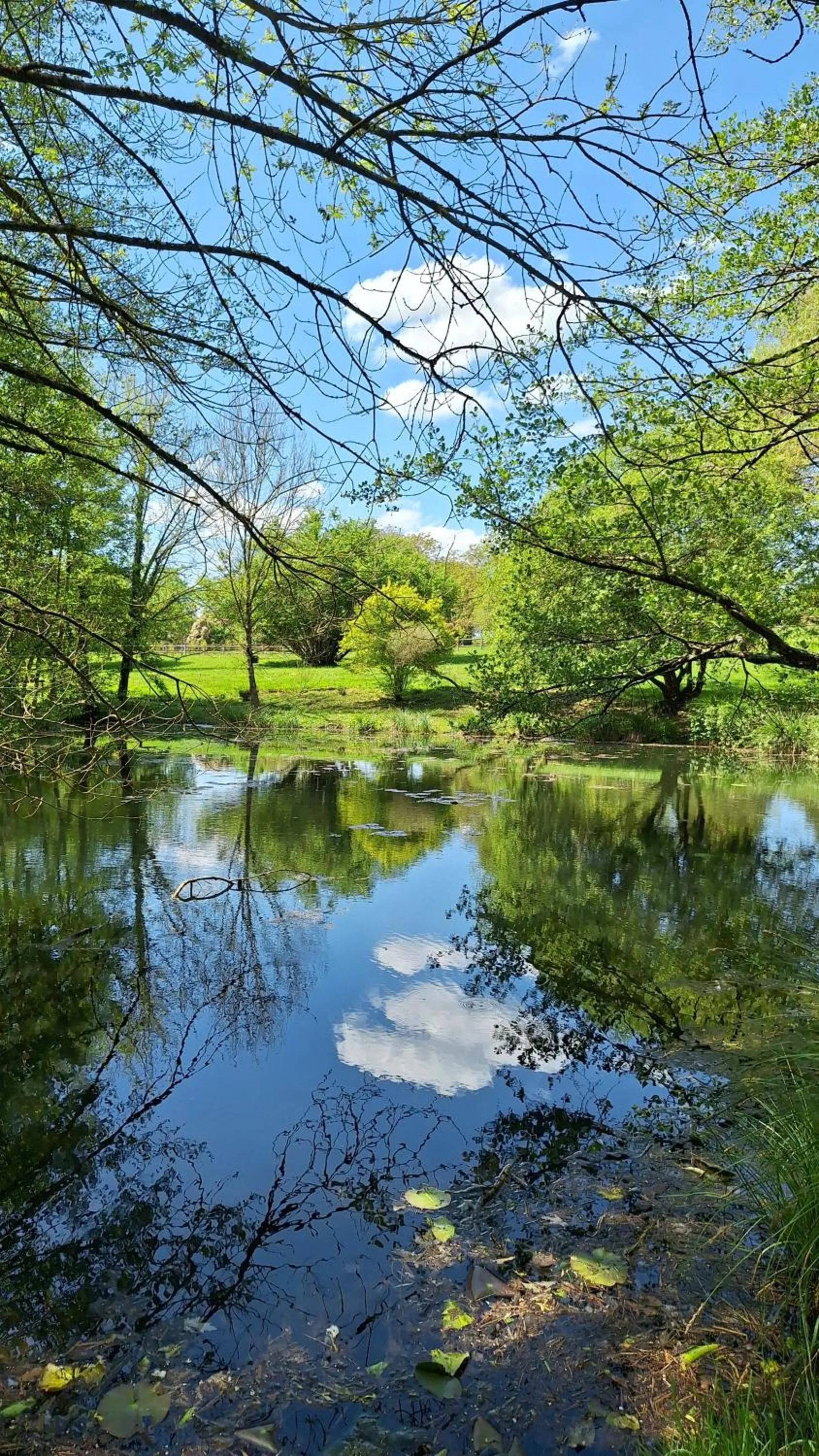 Traînefeuilles - Chambres d'hôtes proche Zoo de Beauval