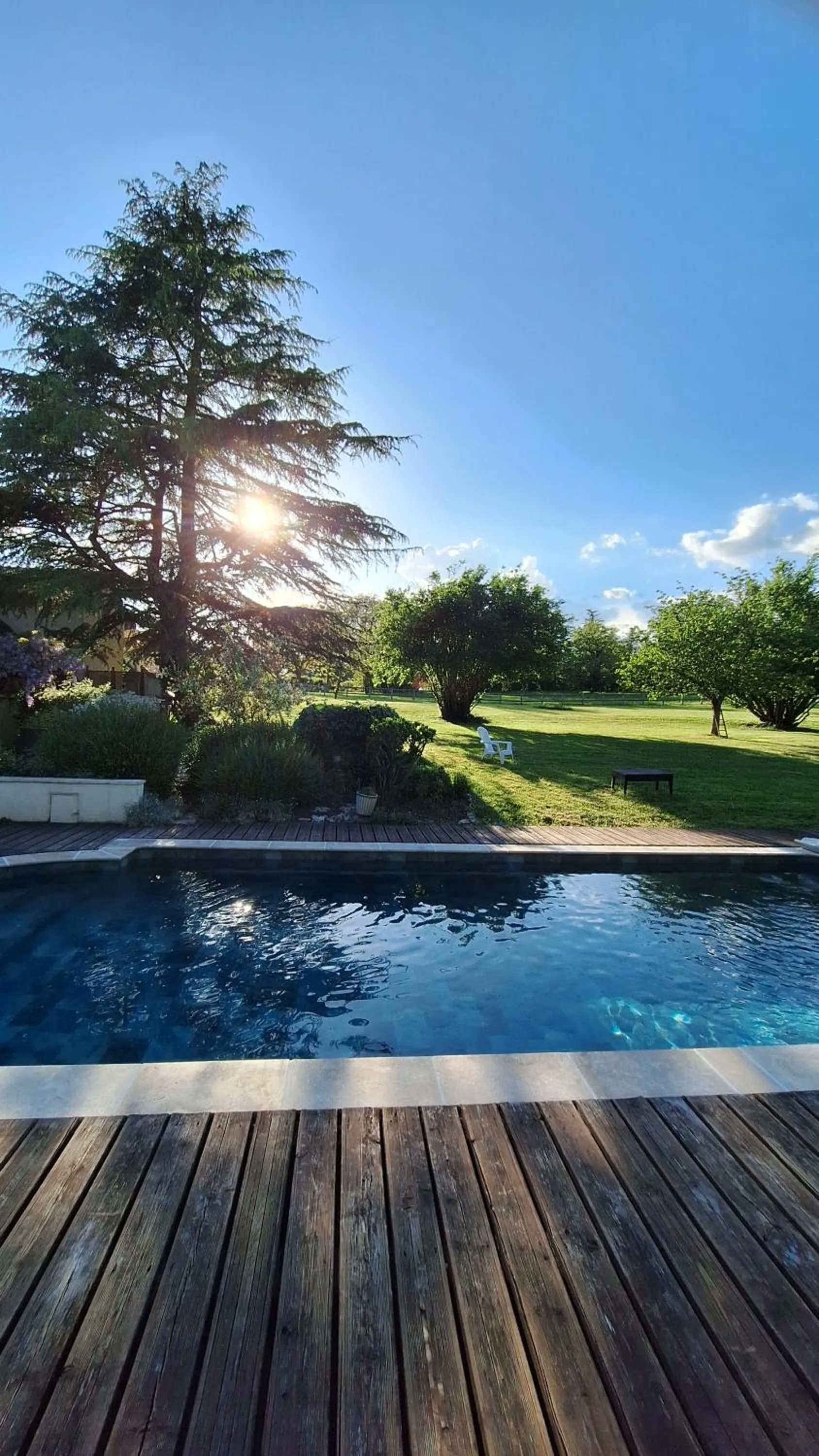 Garden in Traînefeuilles - Chambres d'hôtes proche Zoo de Beauval
