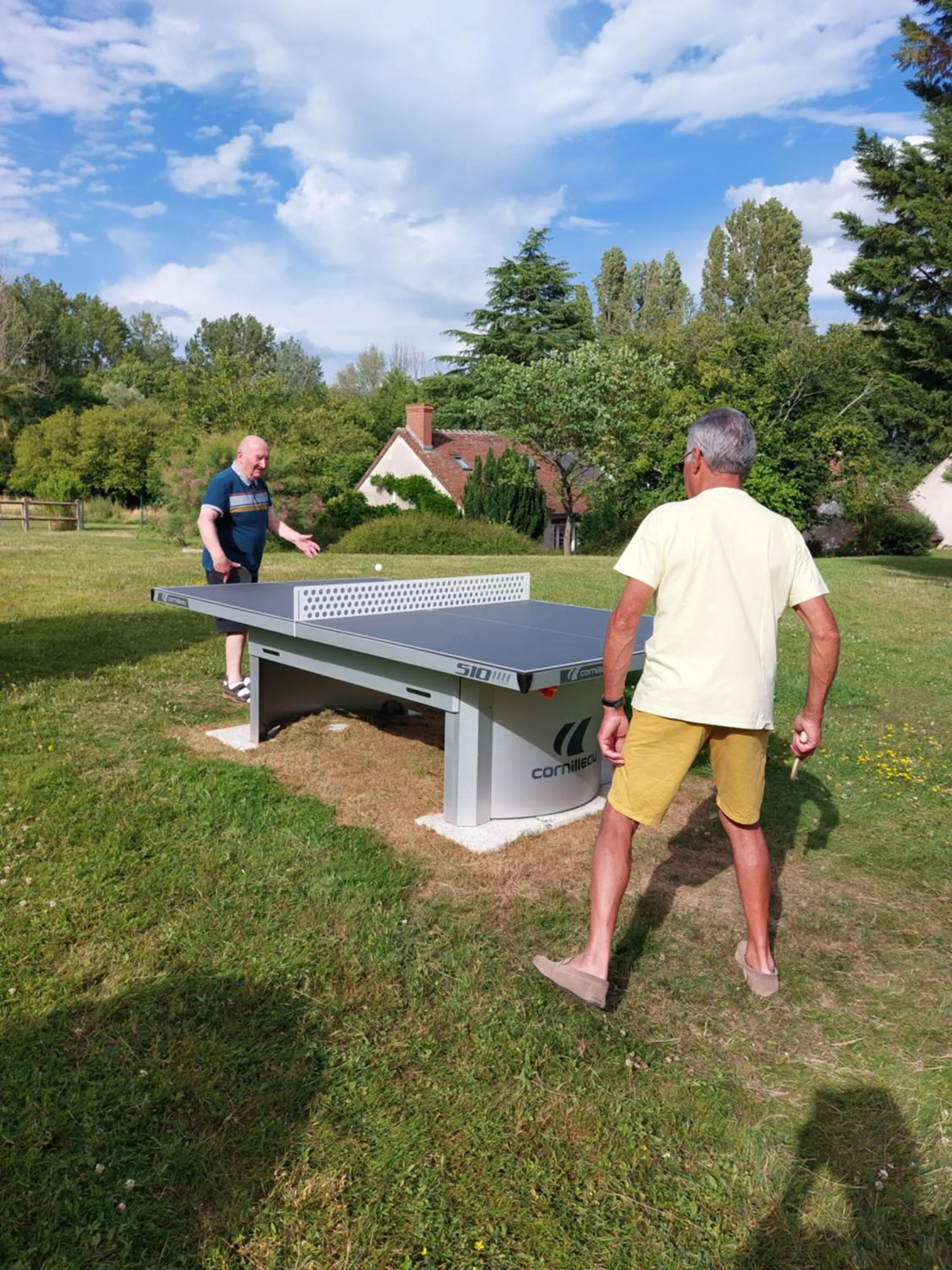 Table tennis in Traînefeuilles - Chambres d'hôtes proche Zoo de Beauval