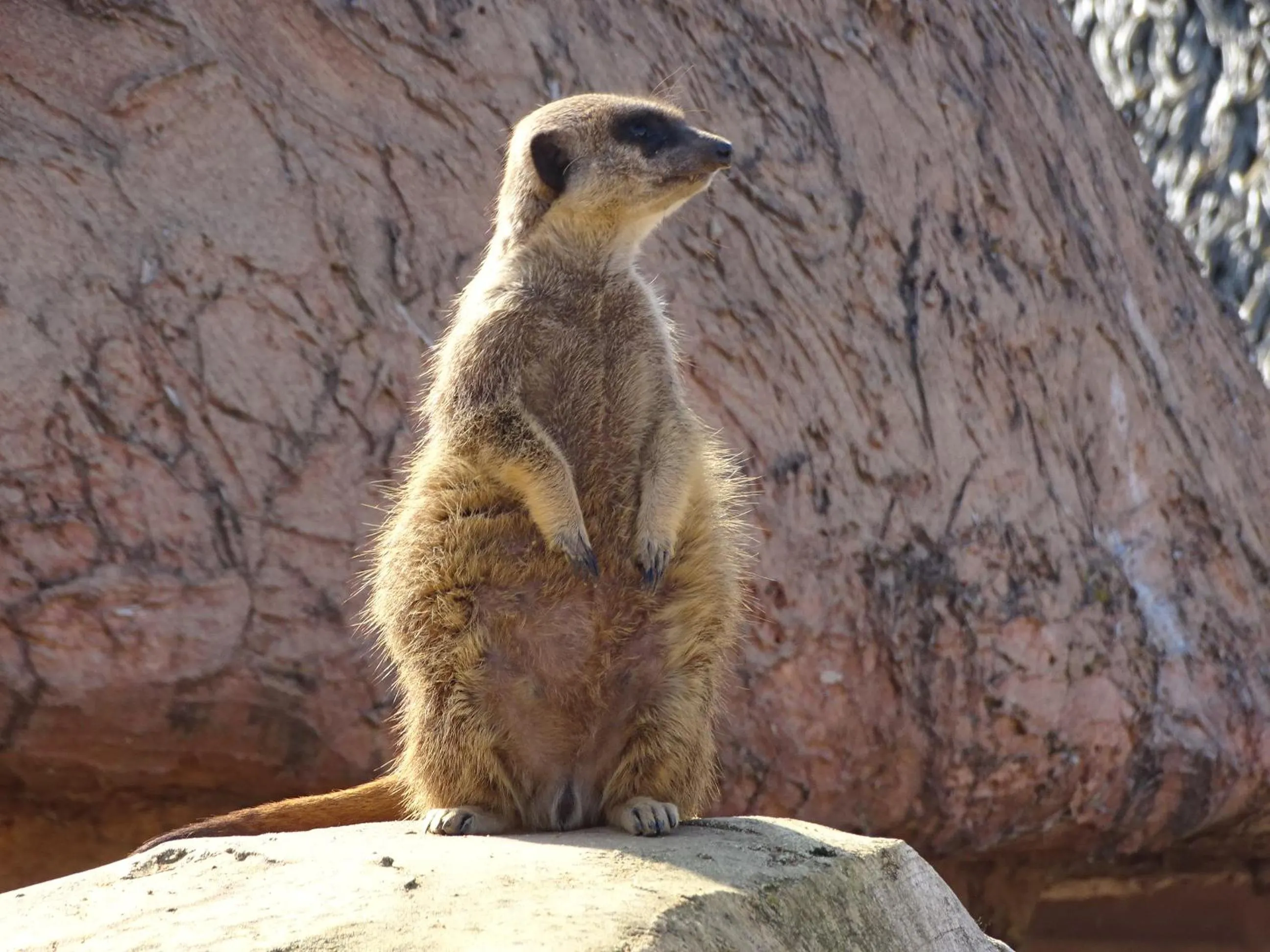 Area and facilities in Traînefeuilles - Chambres d'hôtes proche Zoo de Beauval