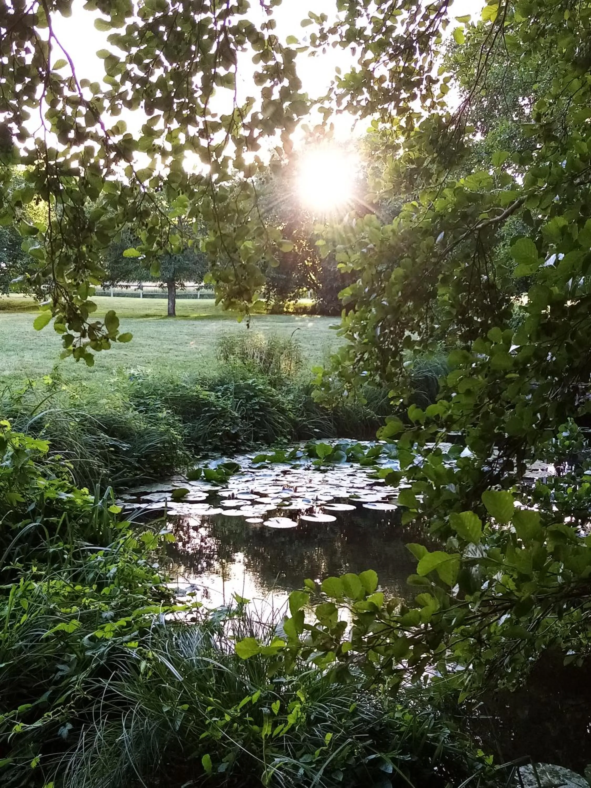 Natural landscape in Traînefeuilles - Chambres d'hôtes proche Zoo de Beauval
