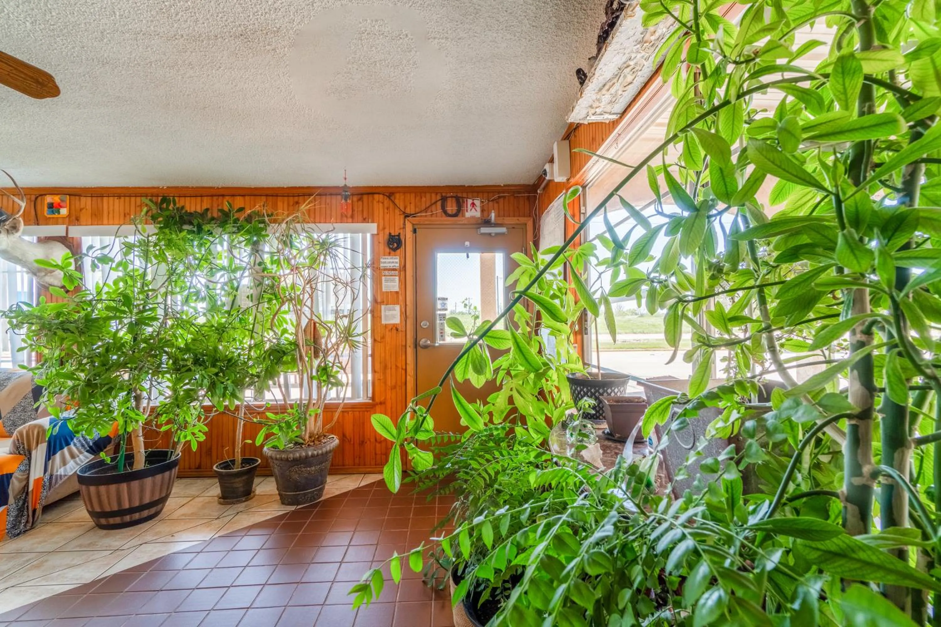 Lobby or reception in Lone Star Inn by OYO Vernon Texas Hwy 287