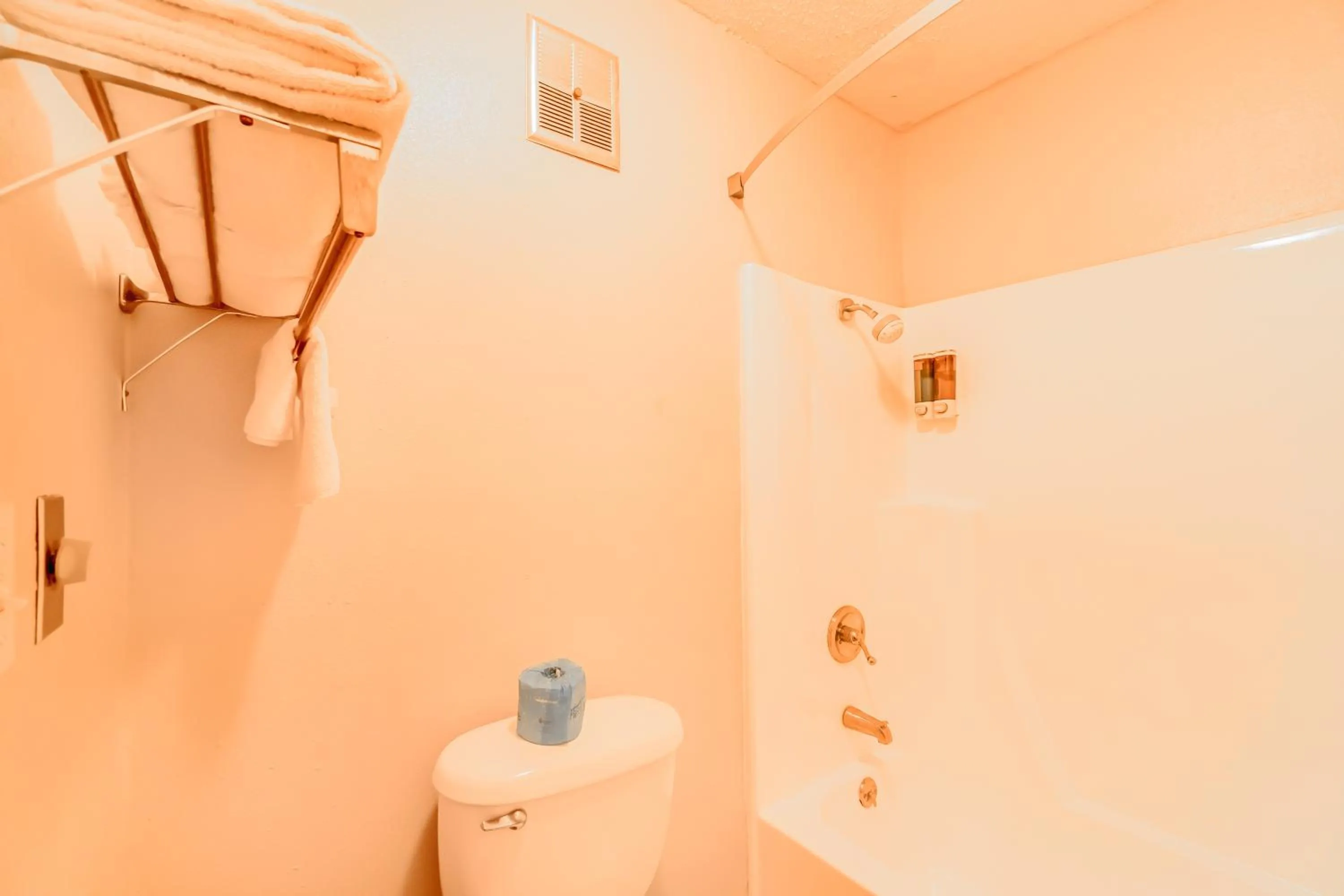 Bathroom in Lone Star Inn by OYO Vernon Texas Hwy 287