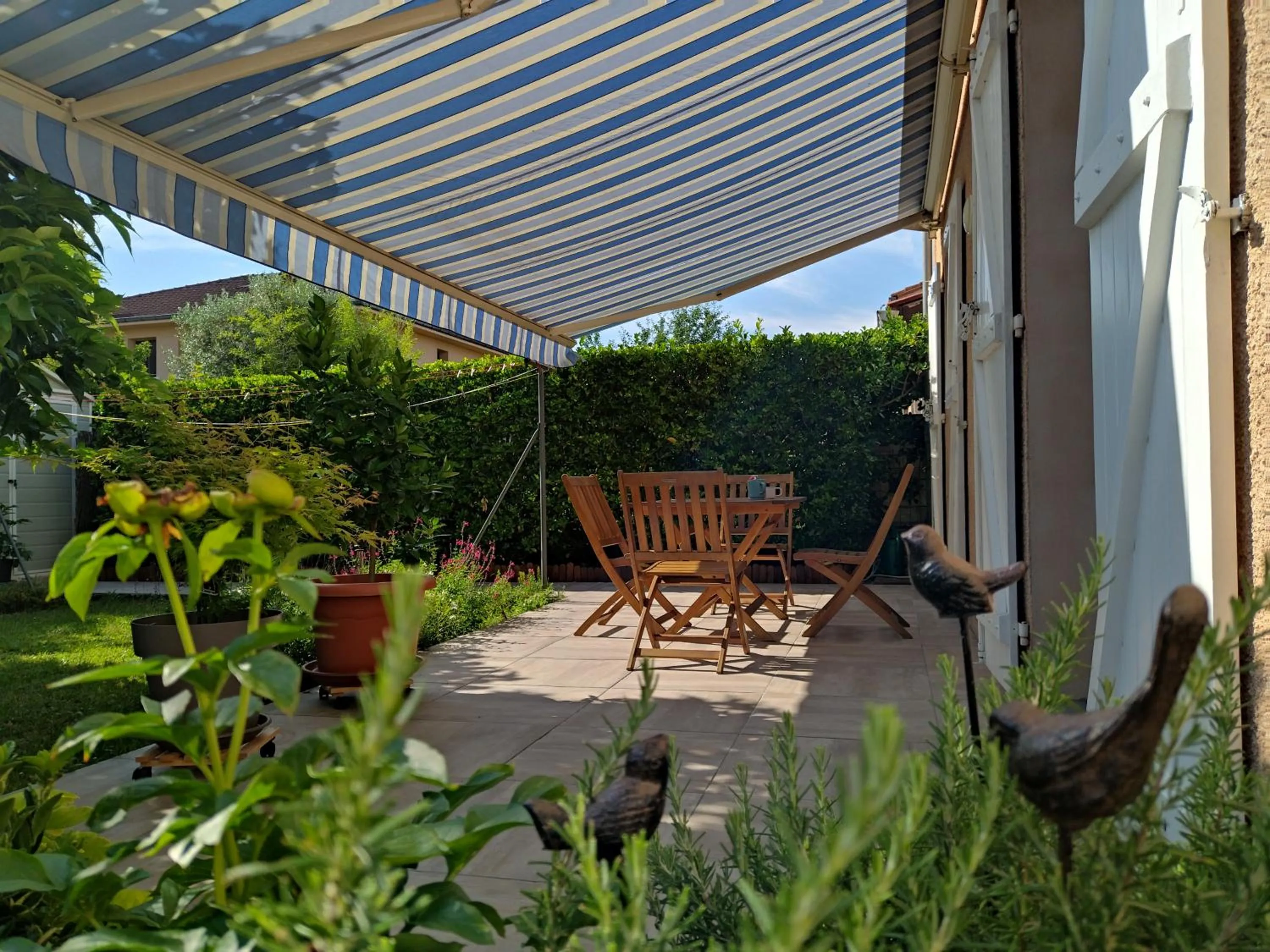 Balcony/Terrace in Fleurs de Cosmos
