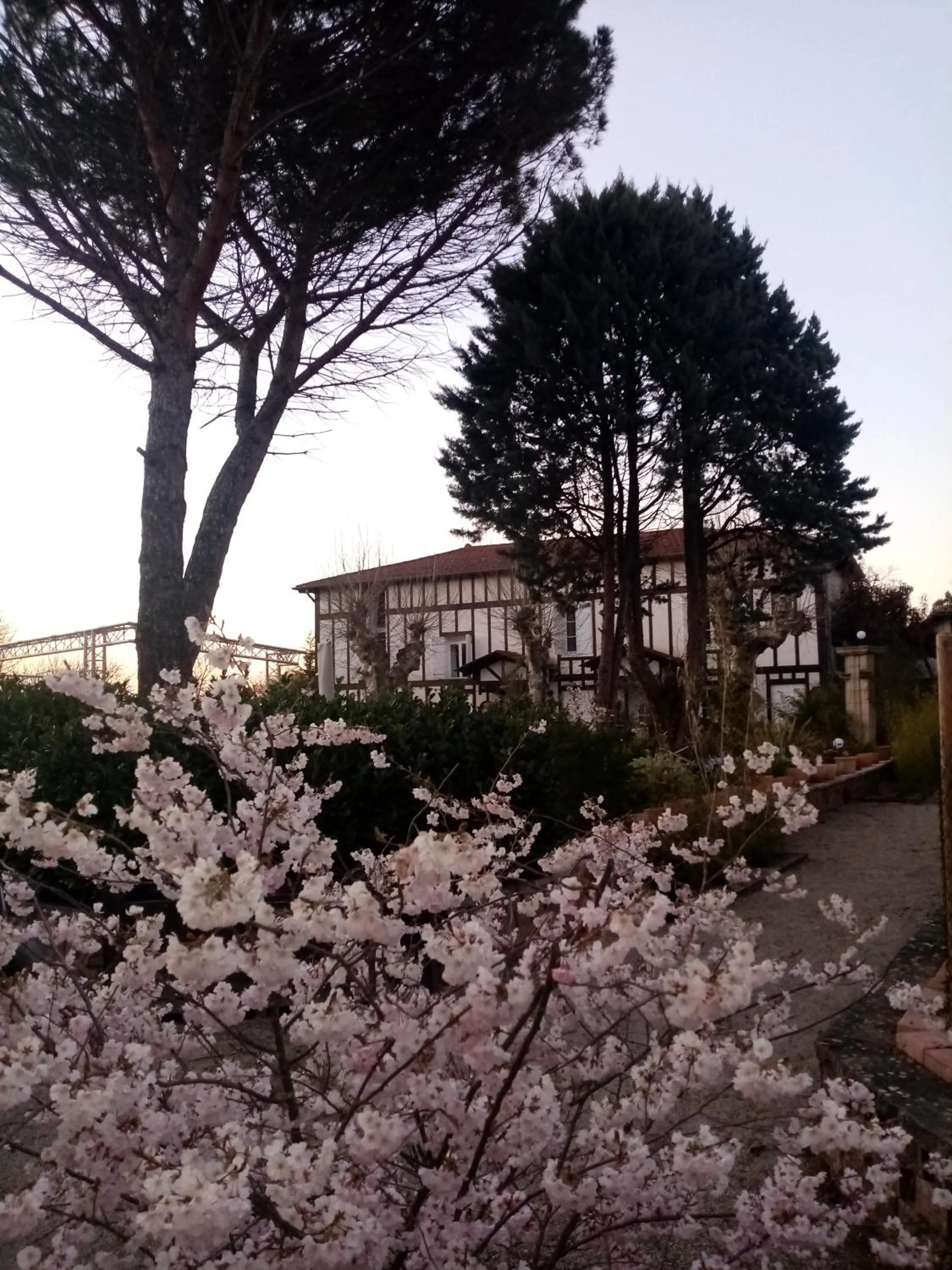 Garden view in Hostelry Music Repetition