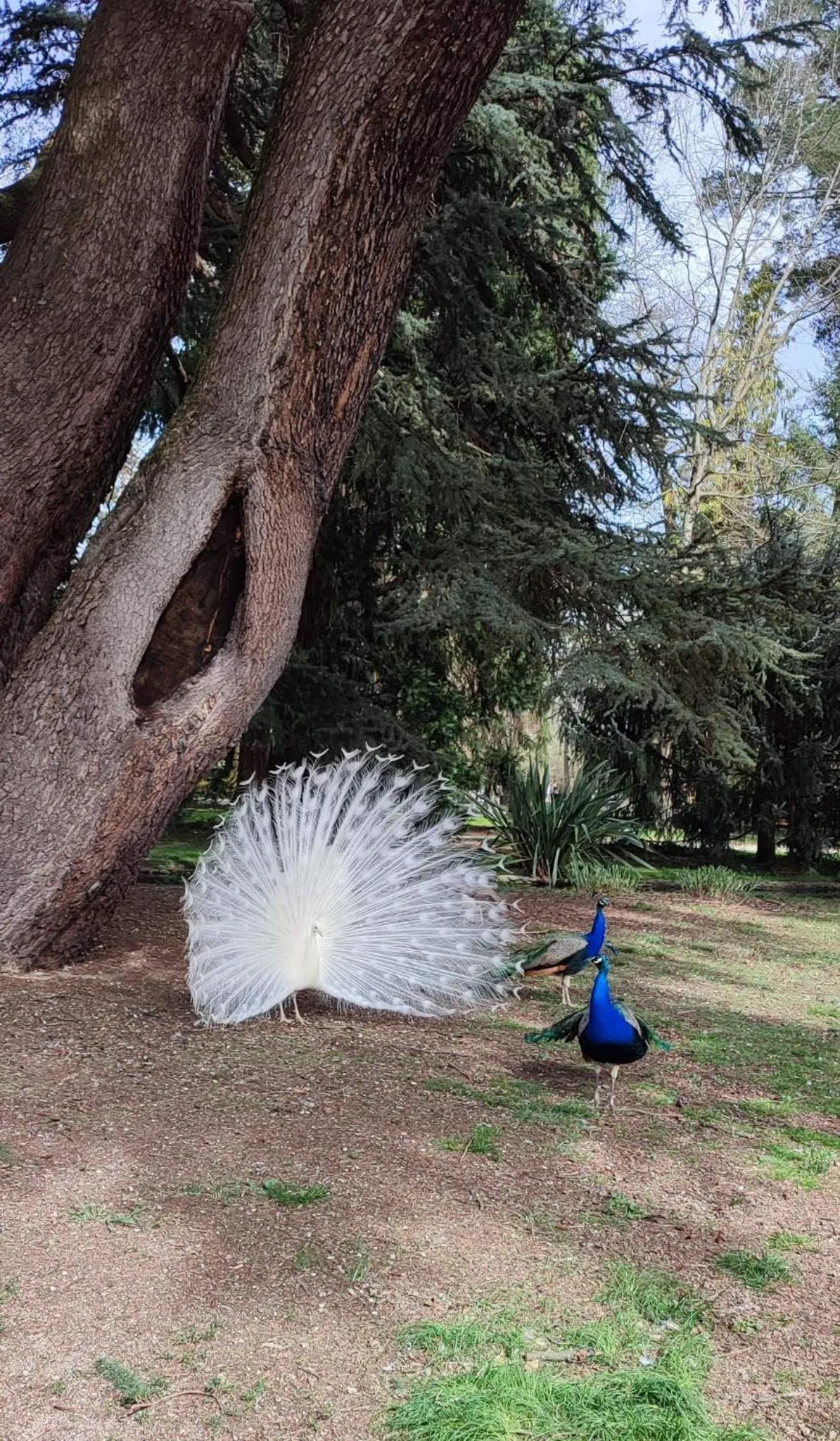 Du Côté de Chez Paule, chambre avec entrée indépendante et salle d'eau privative