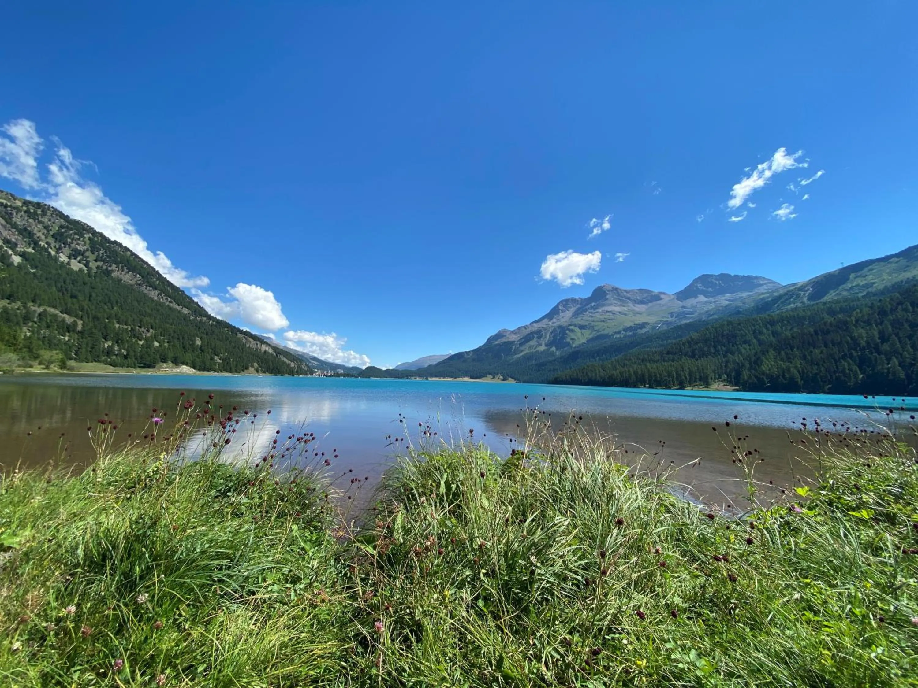 Natural landscape in Albana Hotel Silvaplana
