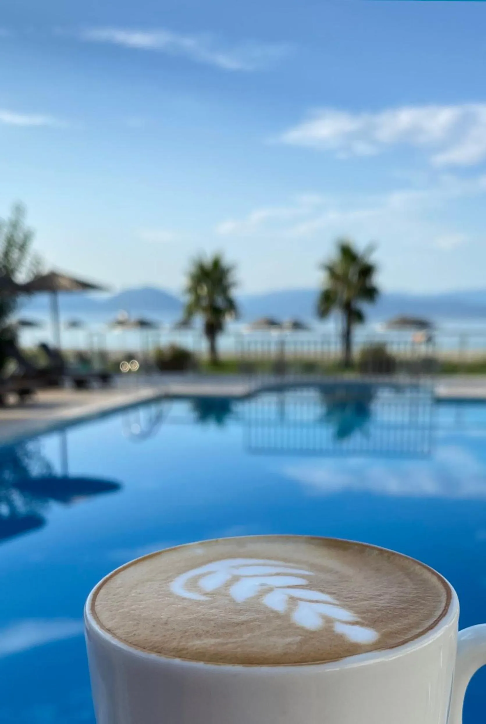 Swimming pool in Surf Hotel