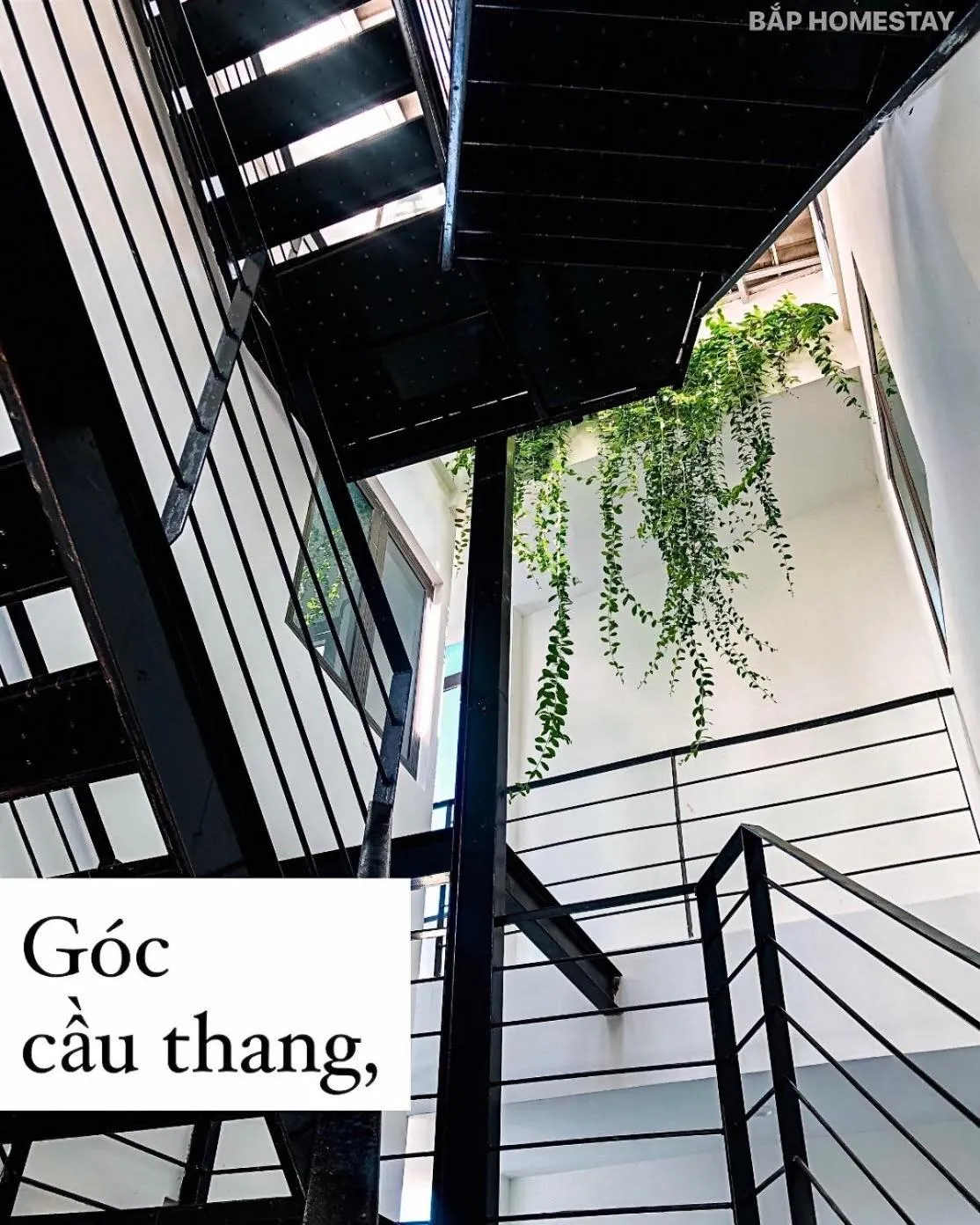 Property building in Bap Homestay