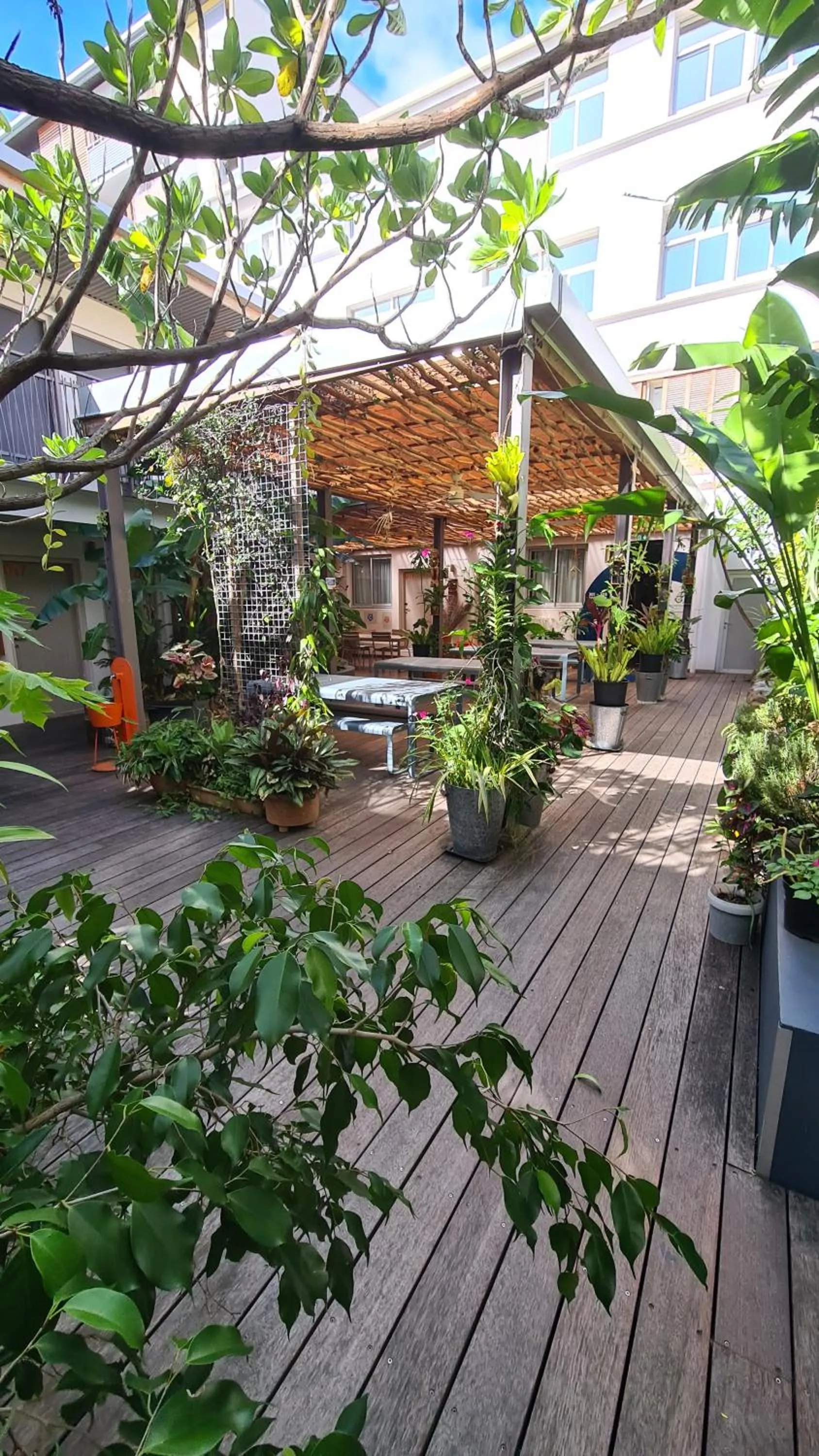 Patio in Gondwana City Art