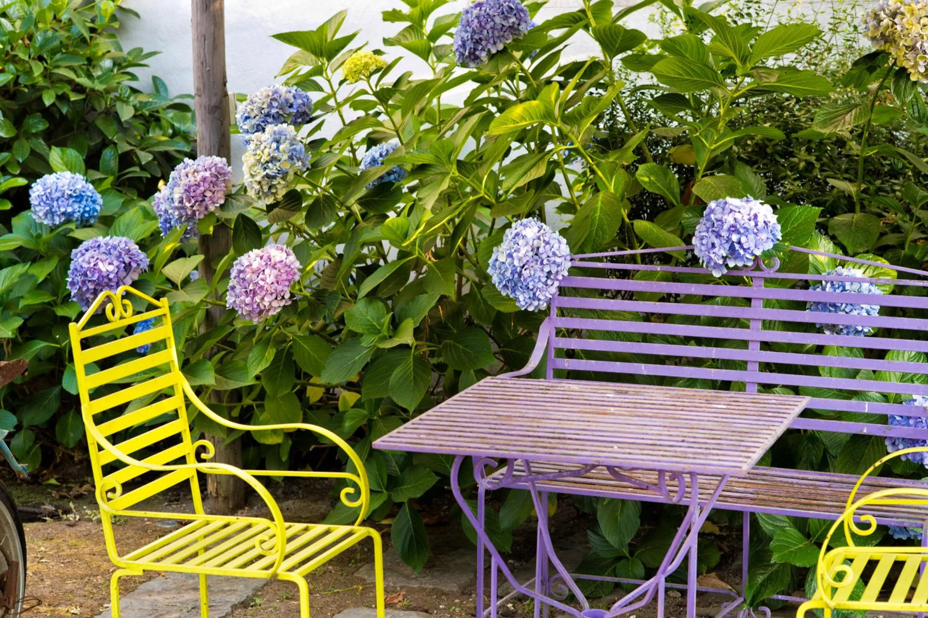 Garden in Maison Di Fiore B&B