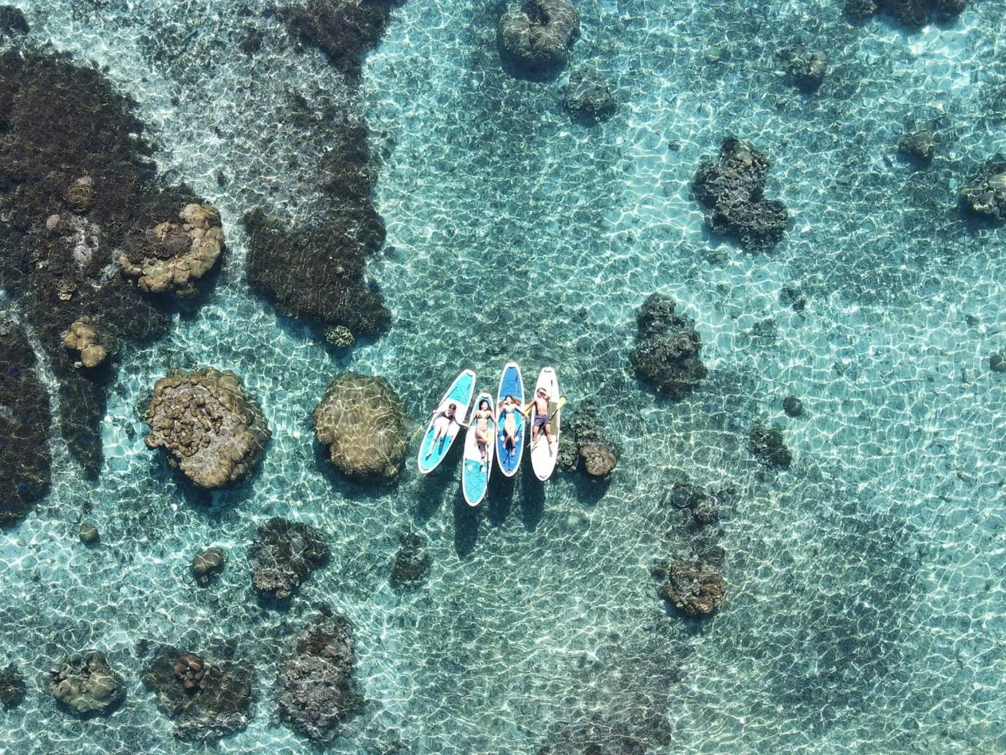 Activities in BEVERLY HILLS VILLA Miyakojima Resort