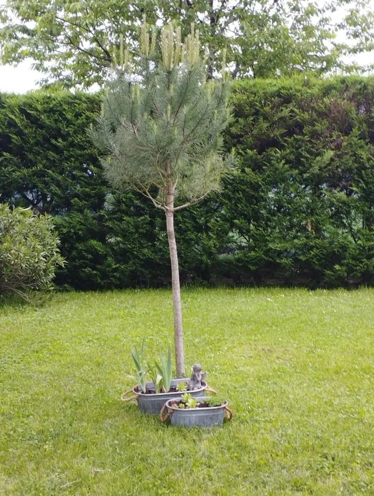Au Cœur de Ménestérol Chambre Émotion