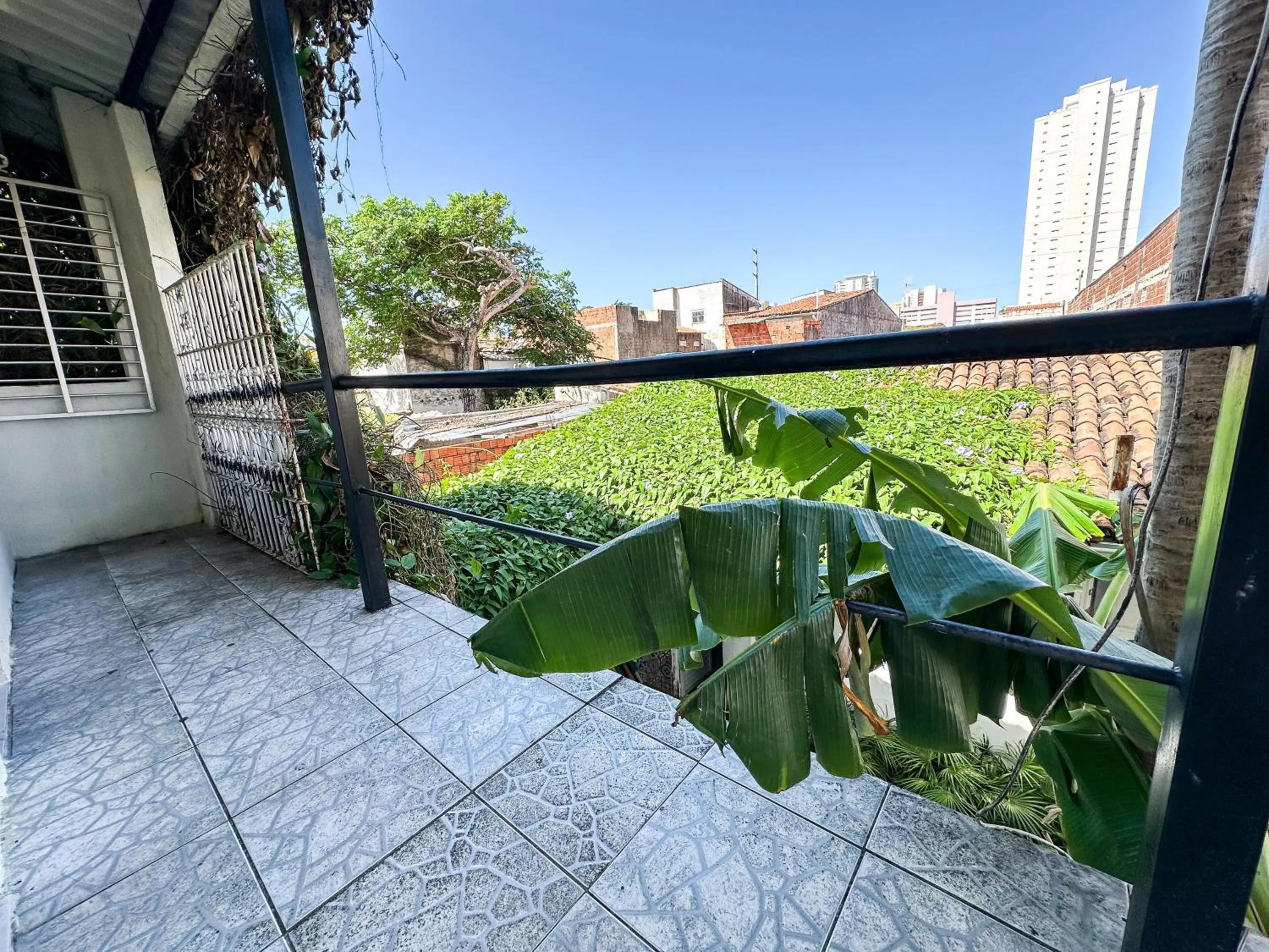 Garden in Hotel Oiticica