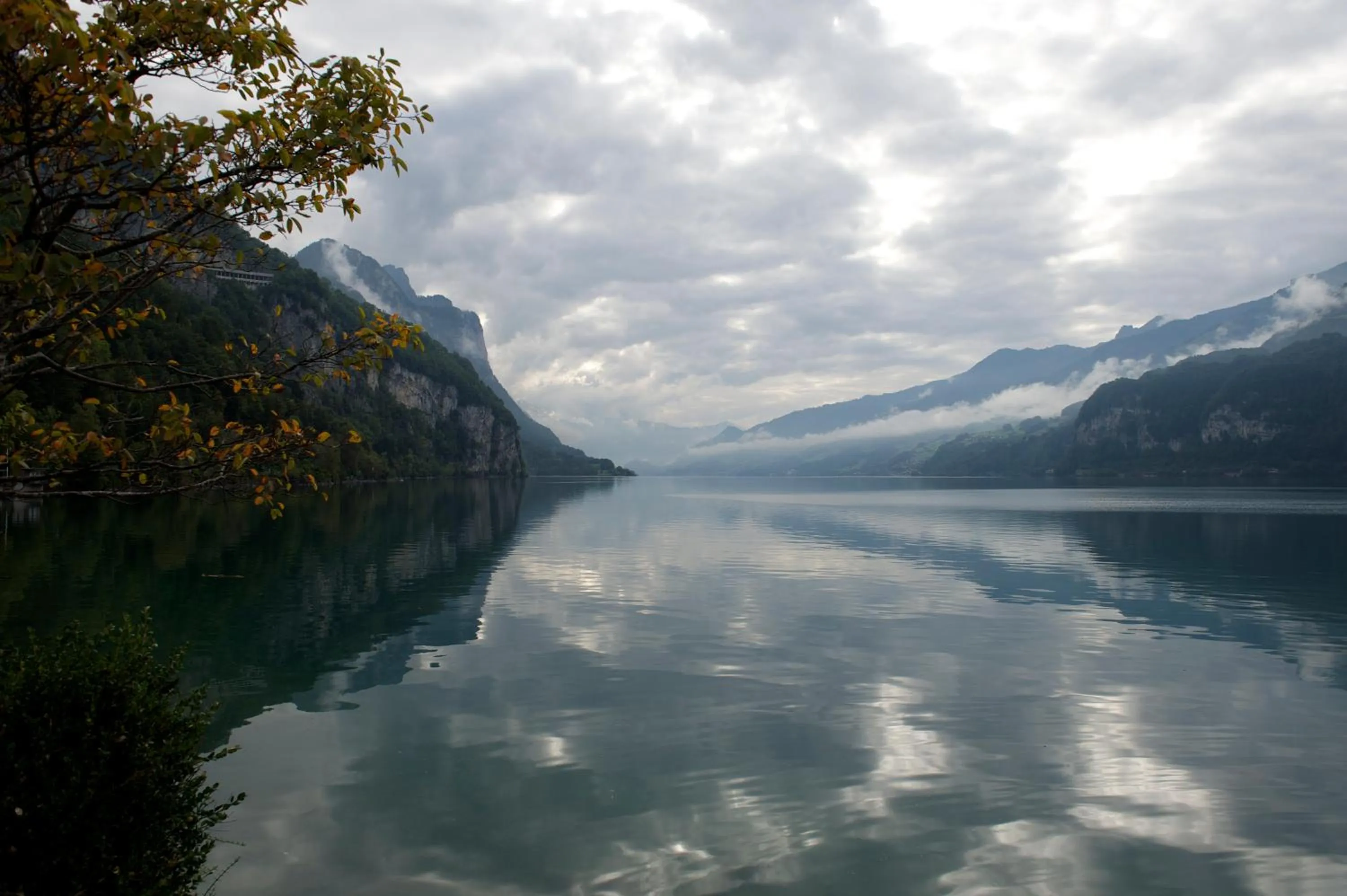 View (from property/room) in Flyhof