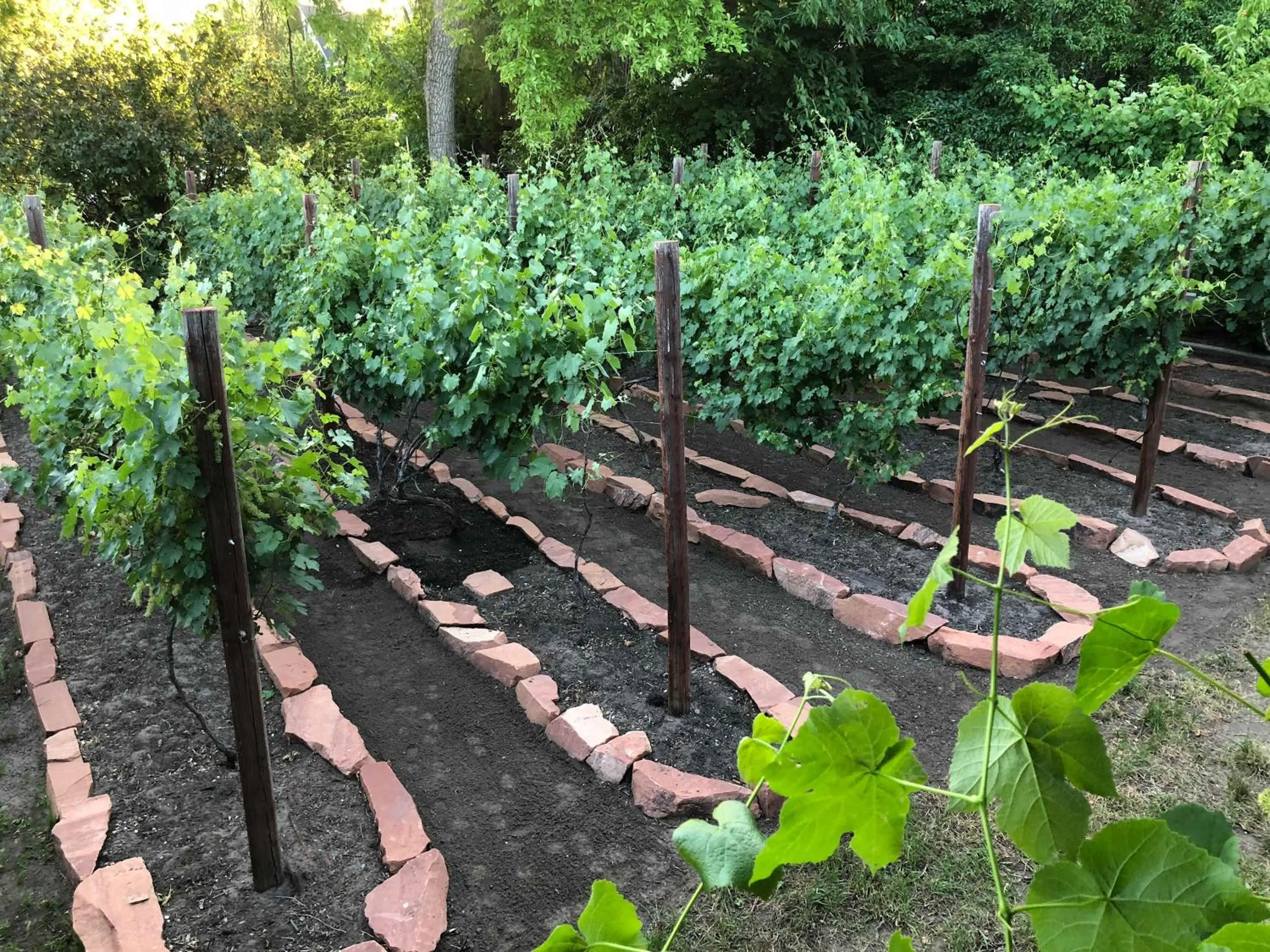 Garden in 6-Bedroom Tudor in the Downtown Historic District