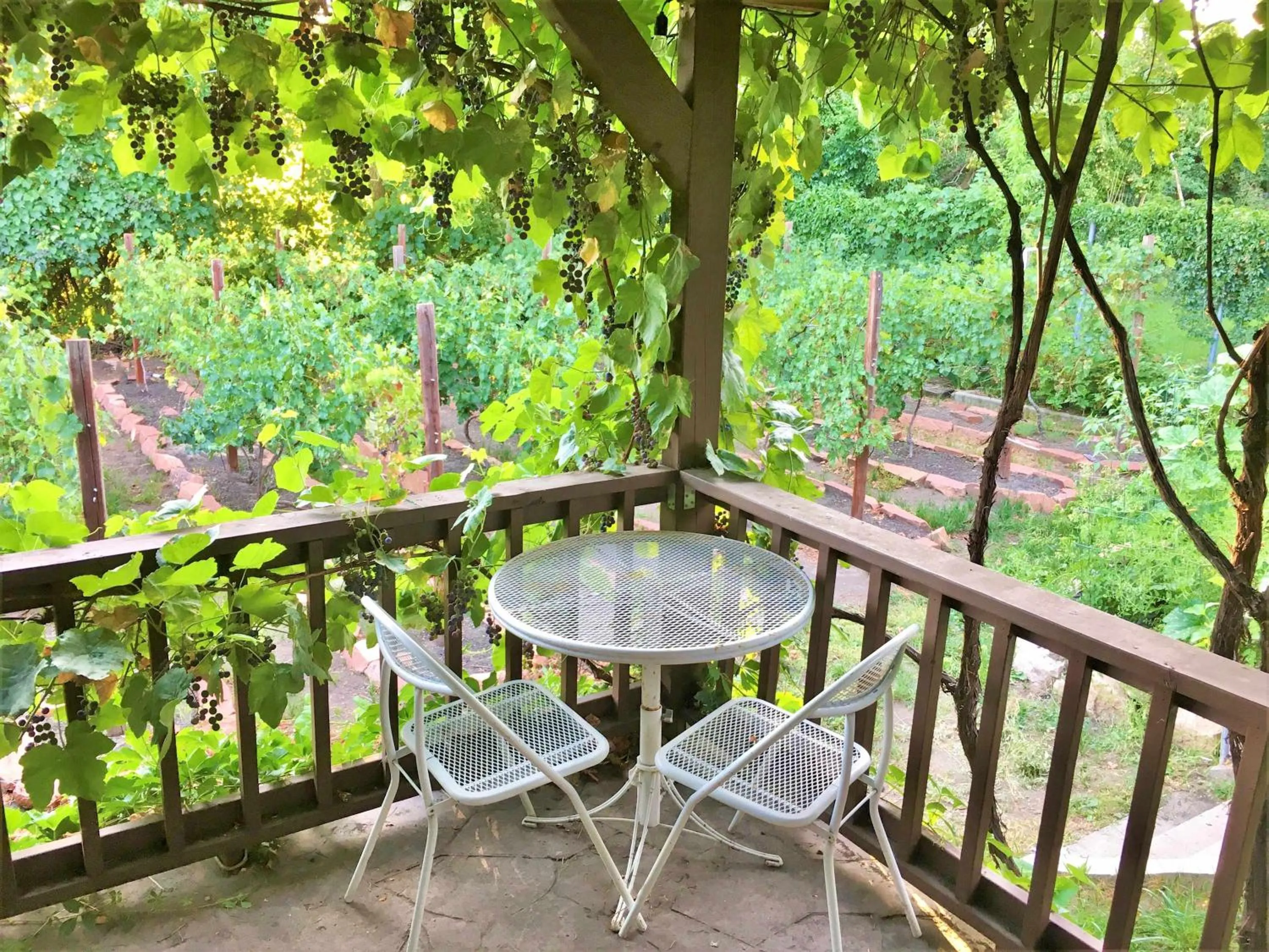 Balcony/Terrace in 6-Bedroom Tudor in the Downtown Historic District