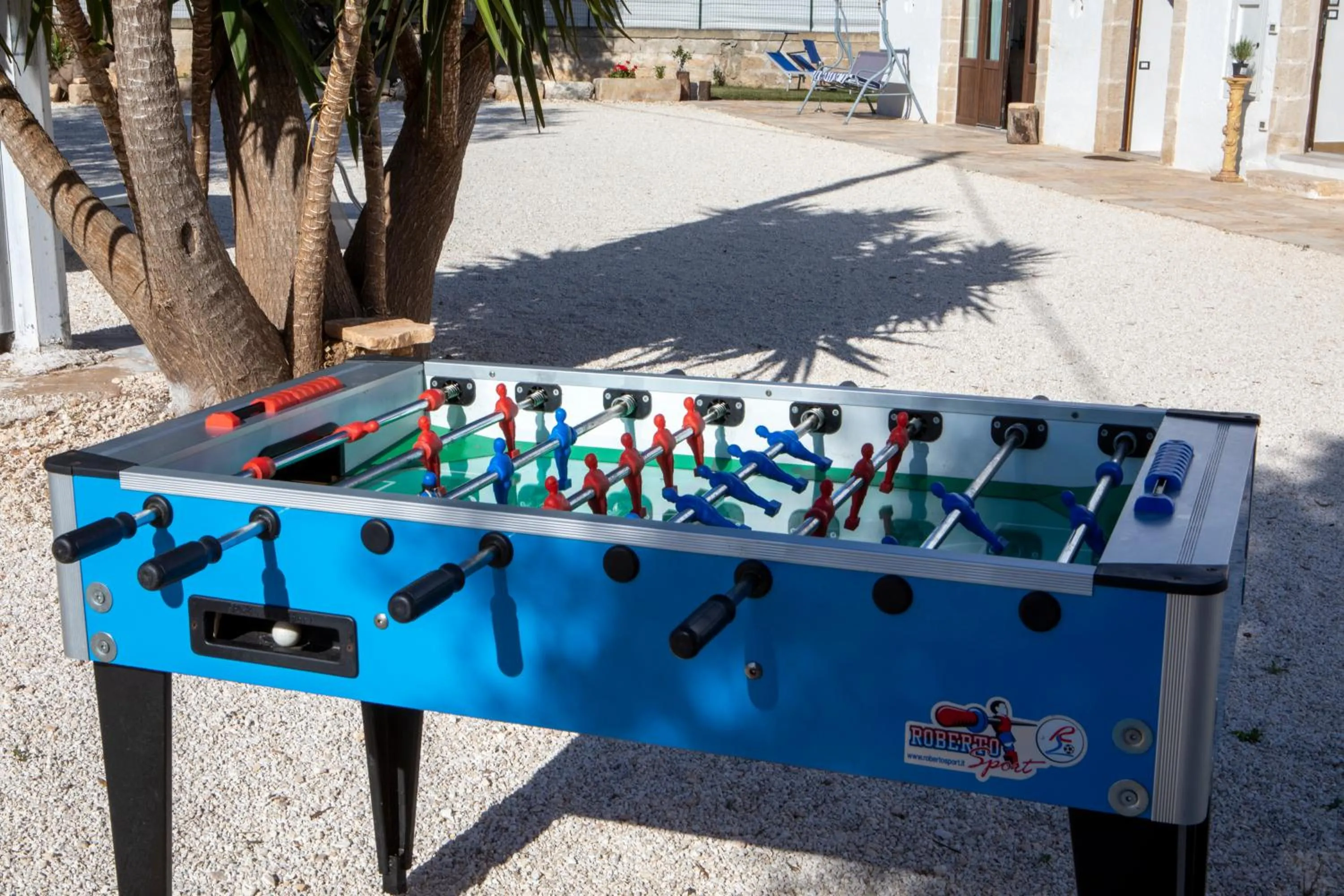 Activities in Guardian's House