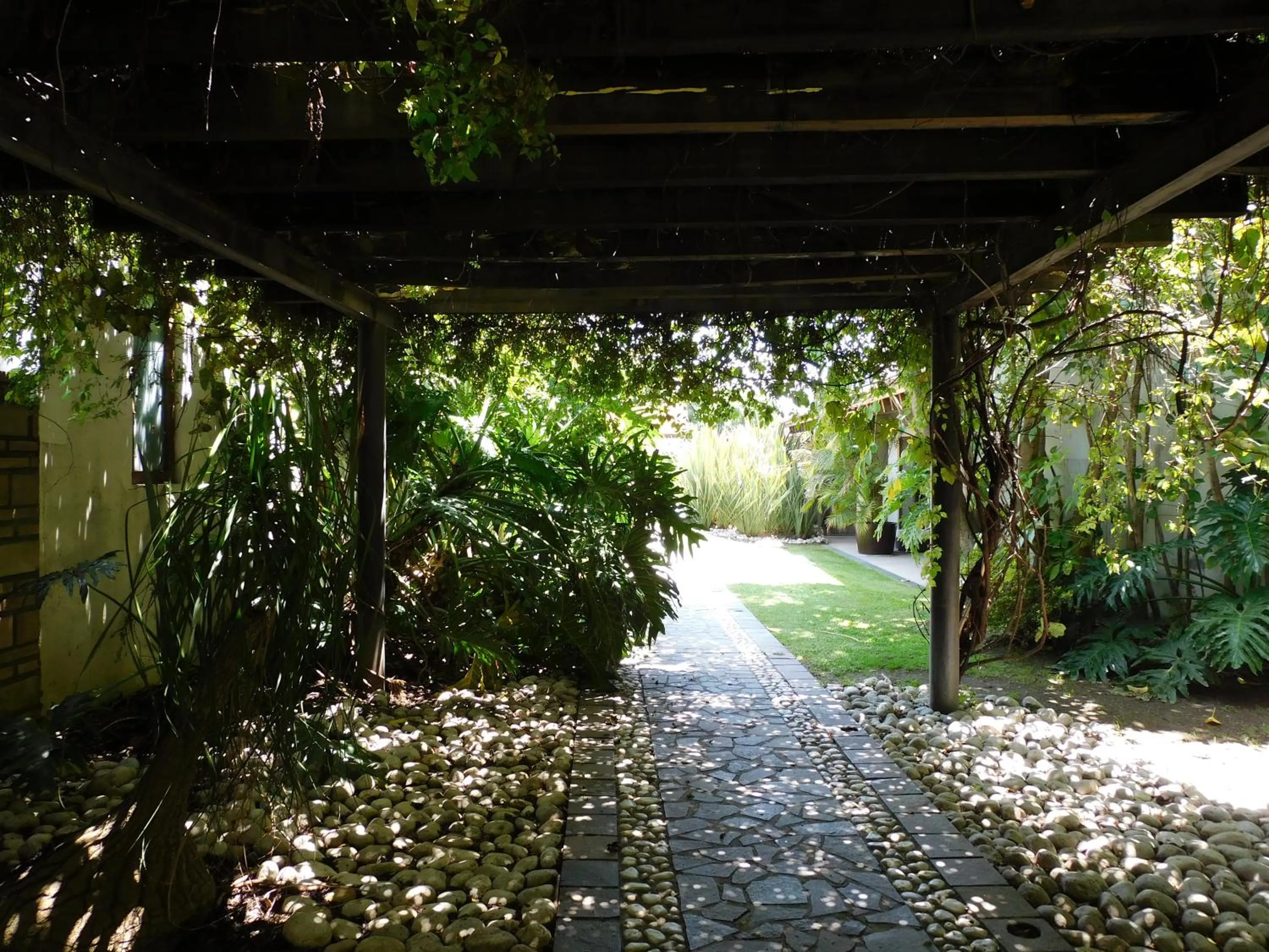 Area and facilities in Hotel & Spa Luna Canela Boutique