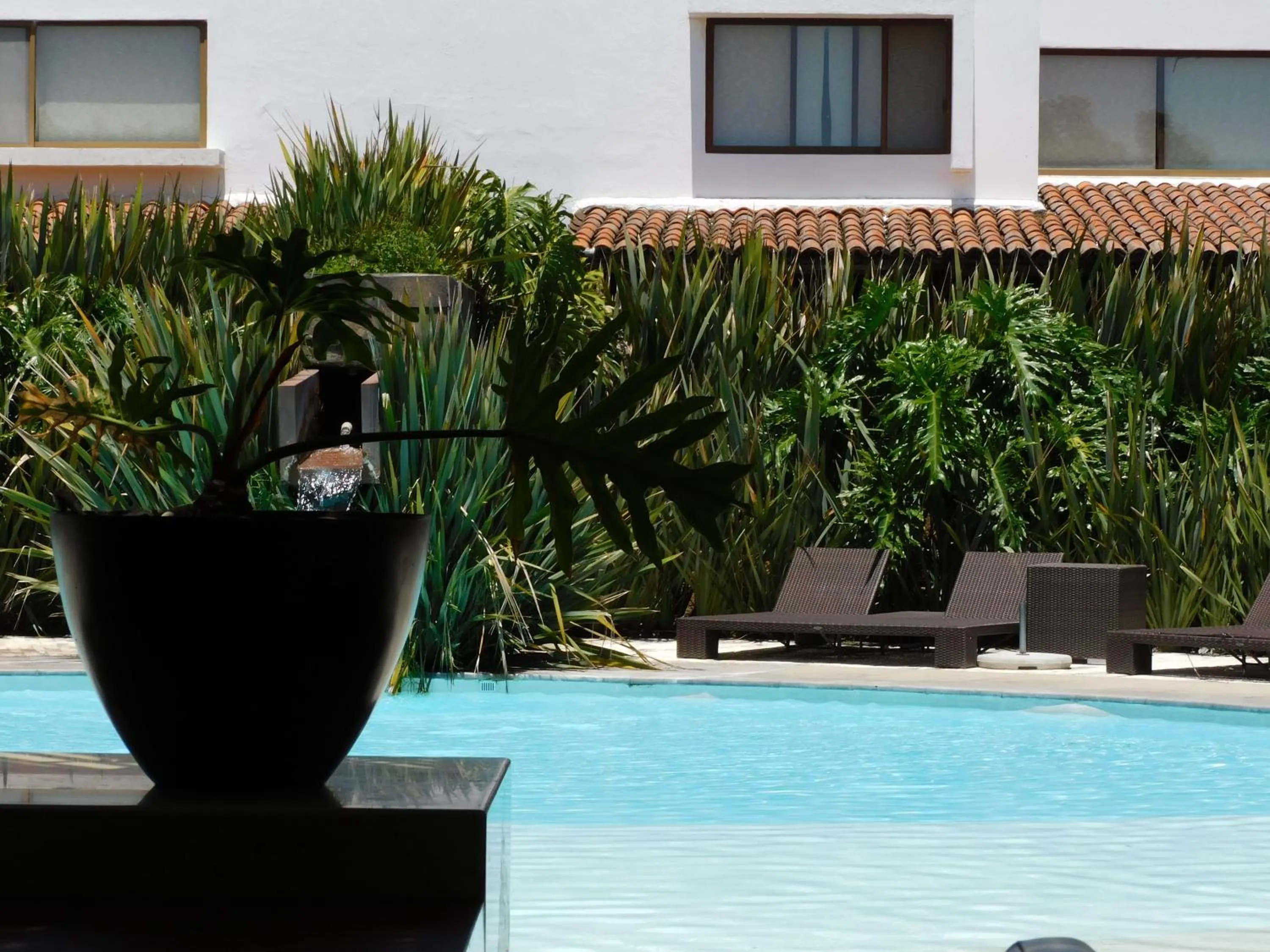 Pool view in Hotel & Spa Luna Canela Boutique