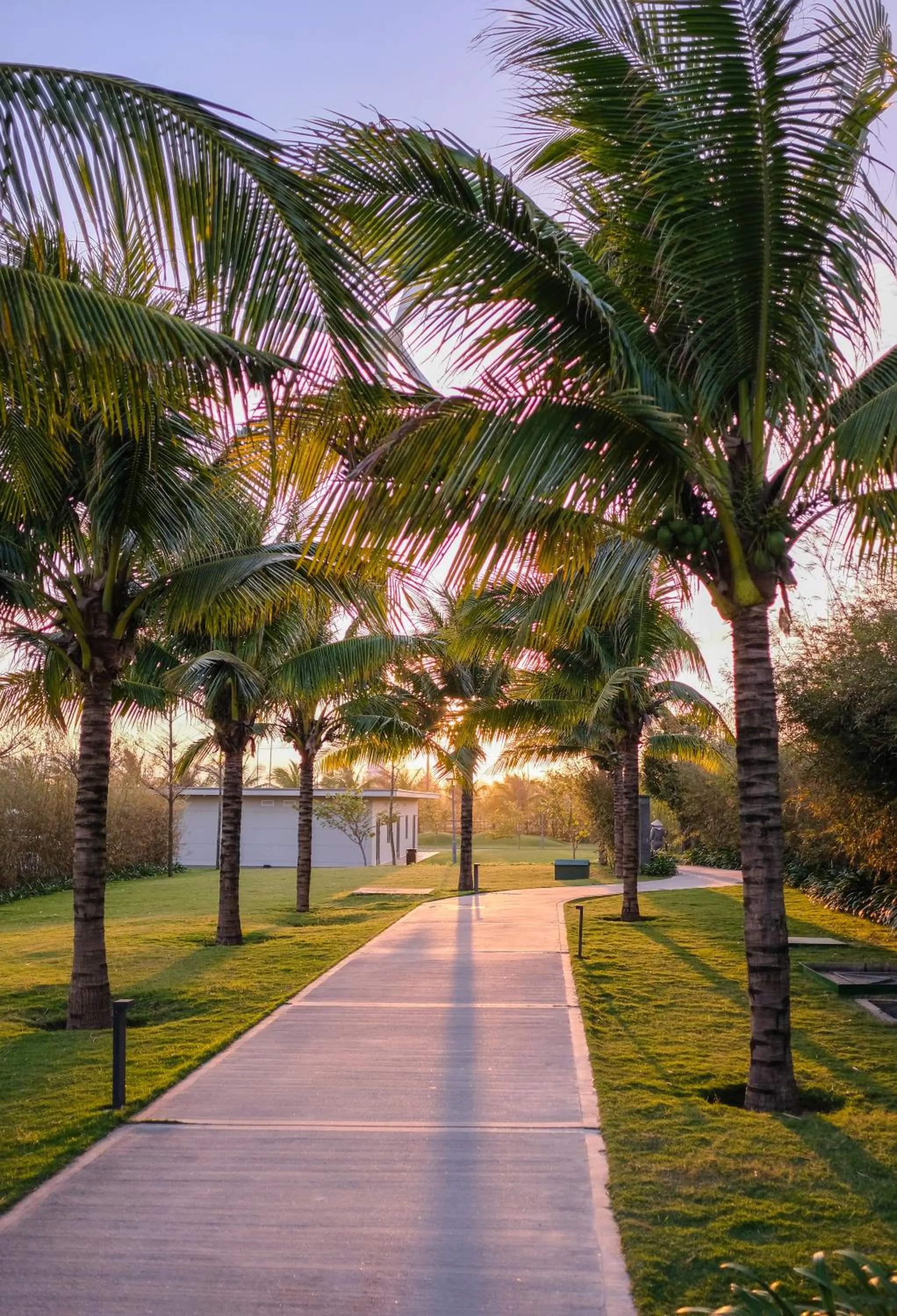 Natural landscape in Maia Resort Quy Nhon