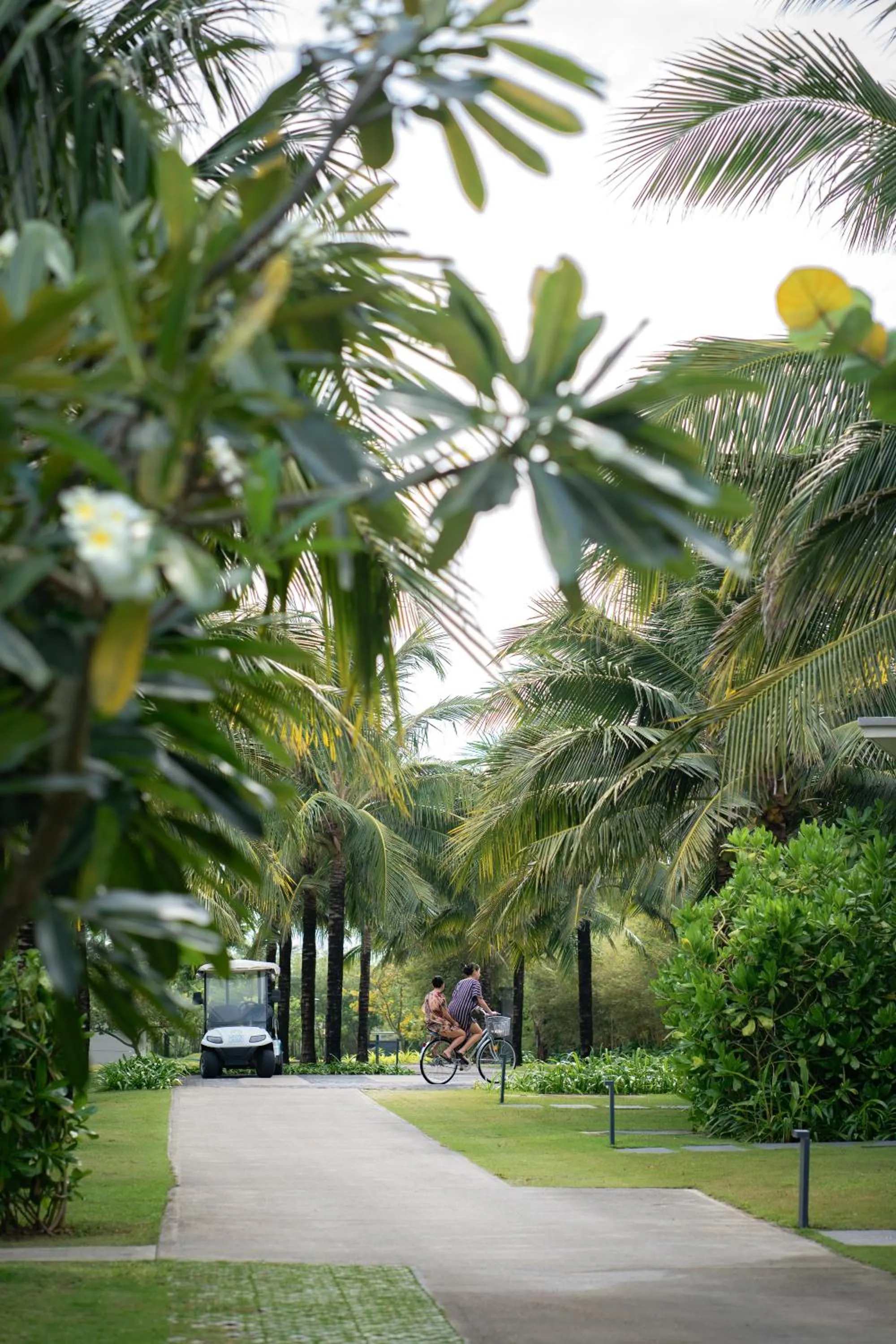 Natural landscape in Maia Resort Quy Nhon