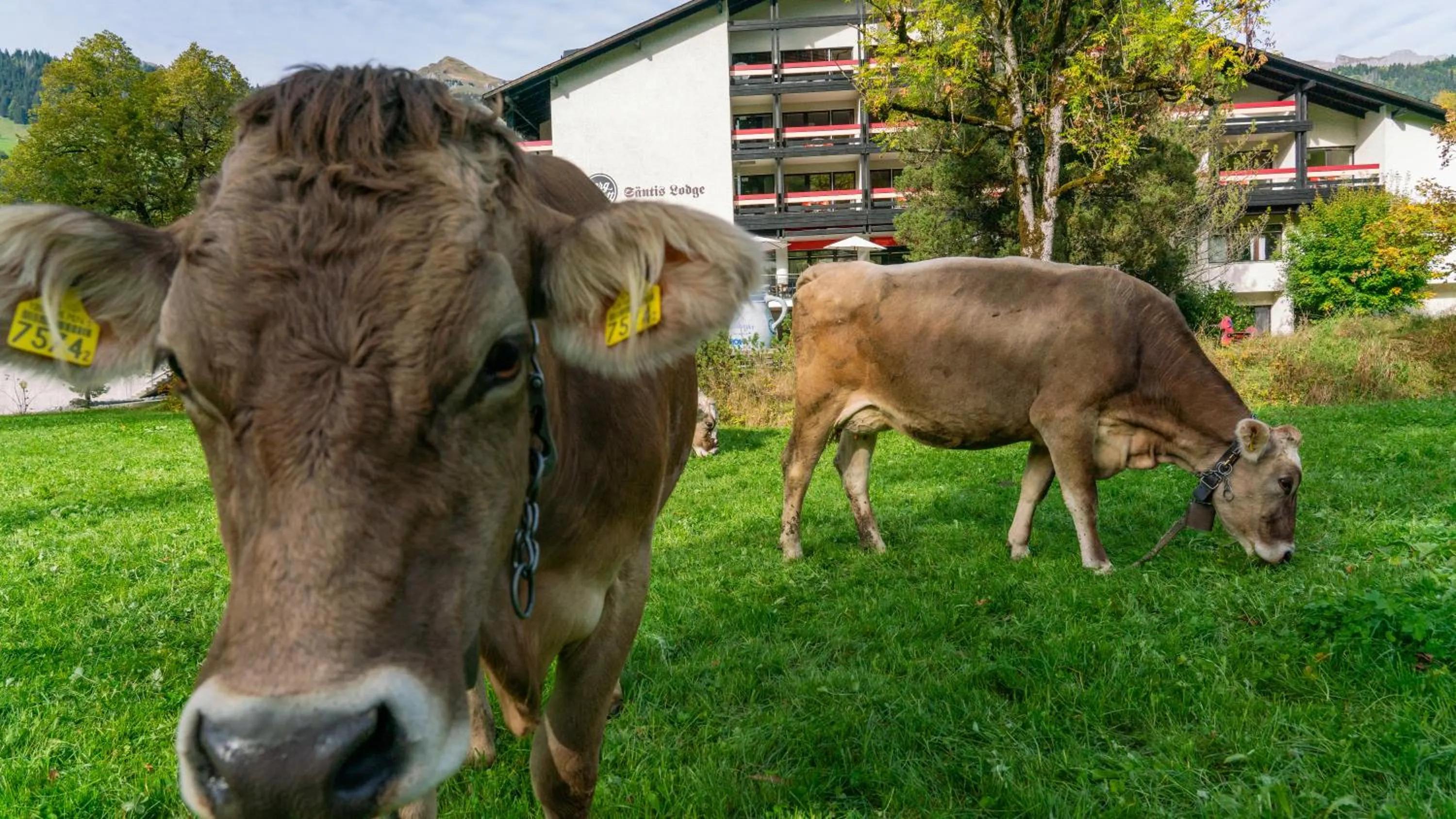 Property building in Hotel Säntis Lodge