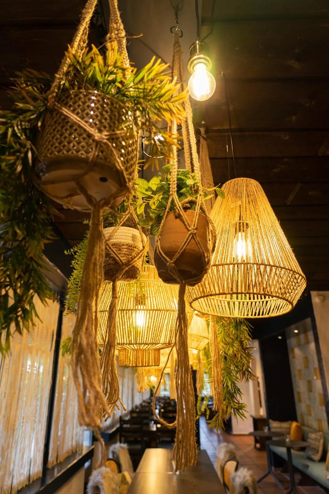 Restaurant/places to eat in Hotel Säntis Lodge