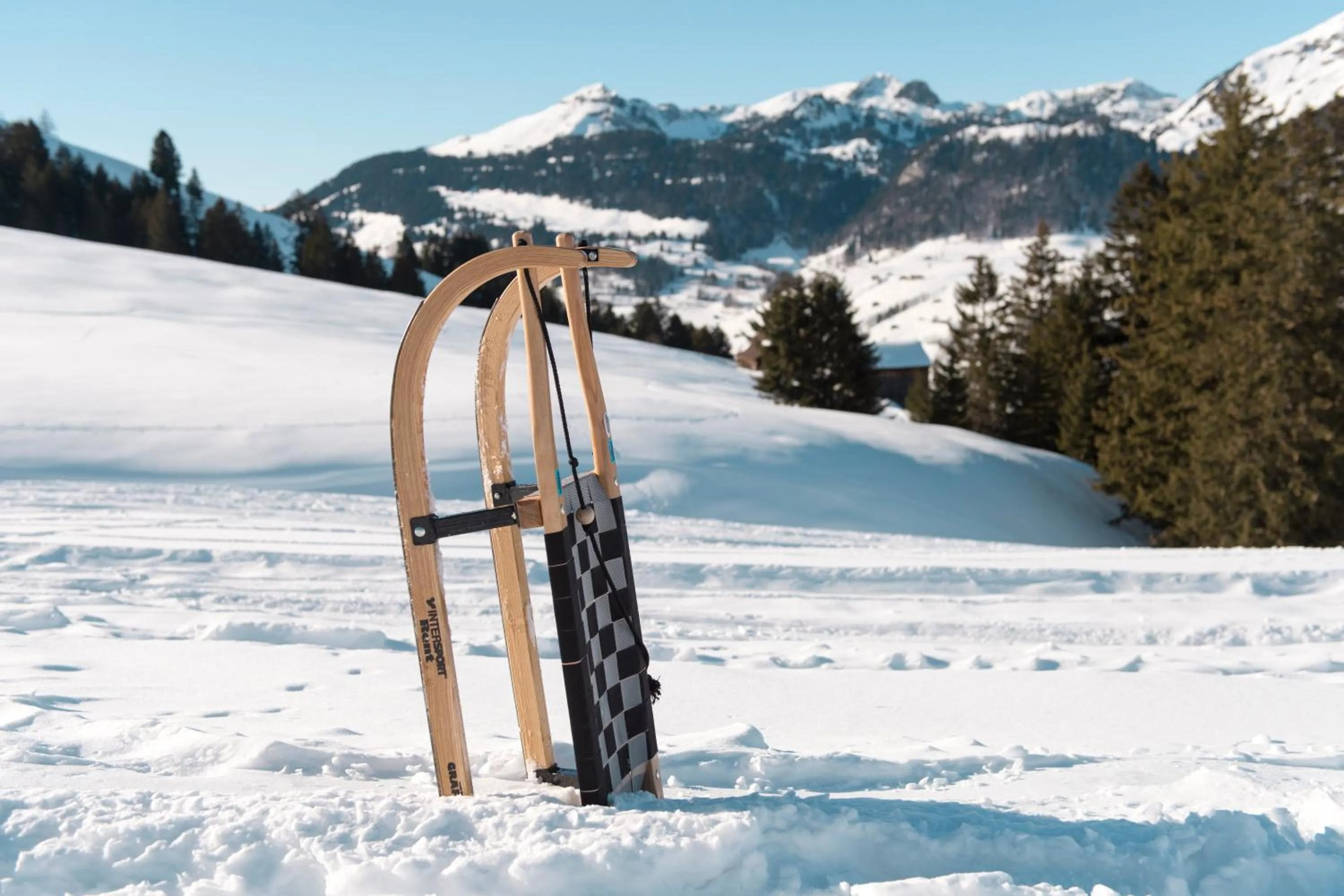 Natural landscape in Hotel Säntis Lodge