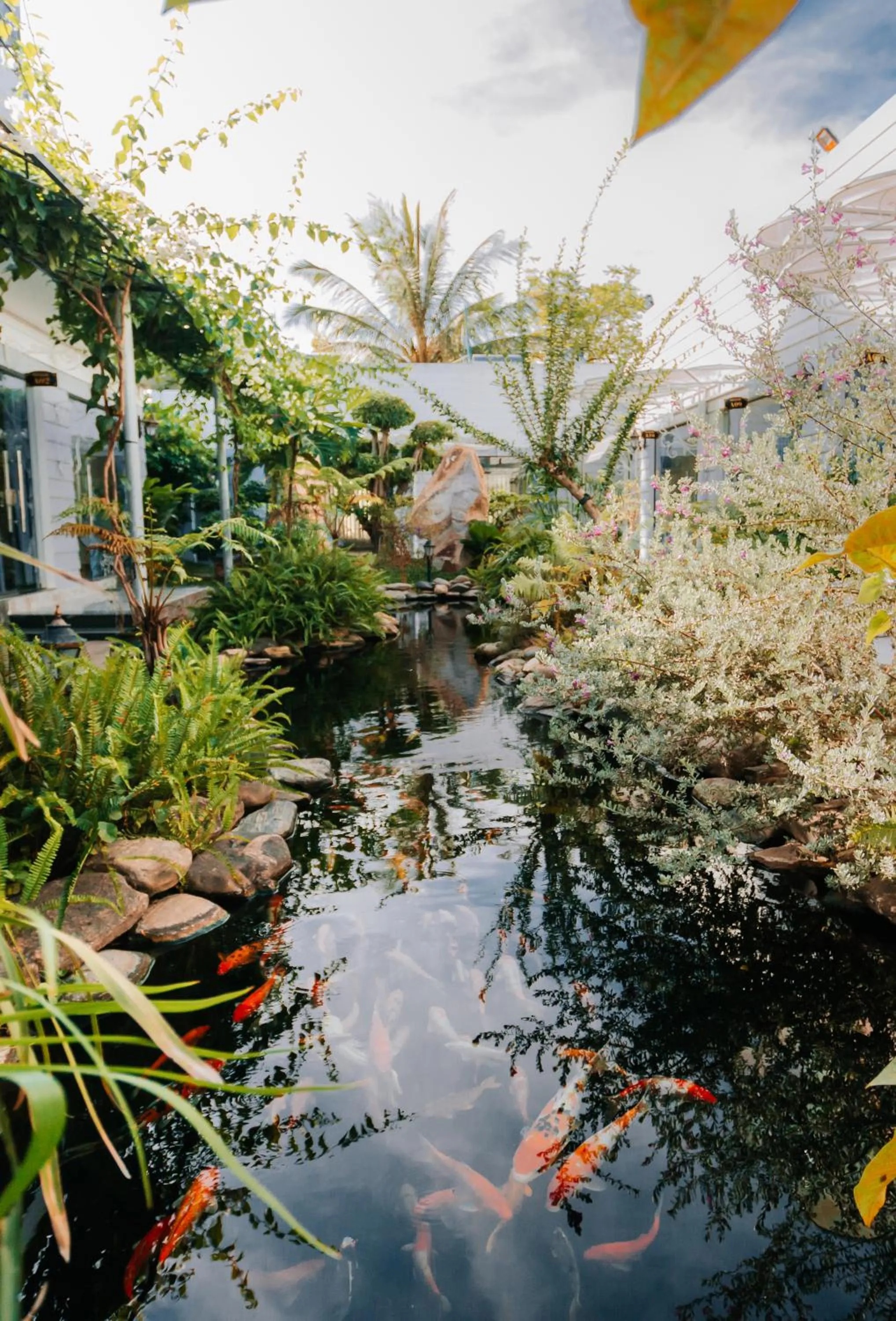 Lake view in Window Homestay
