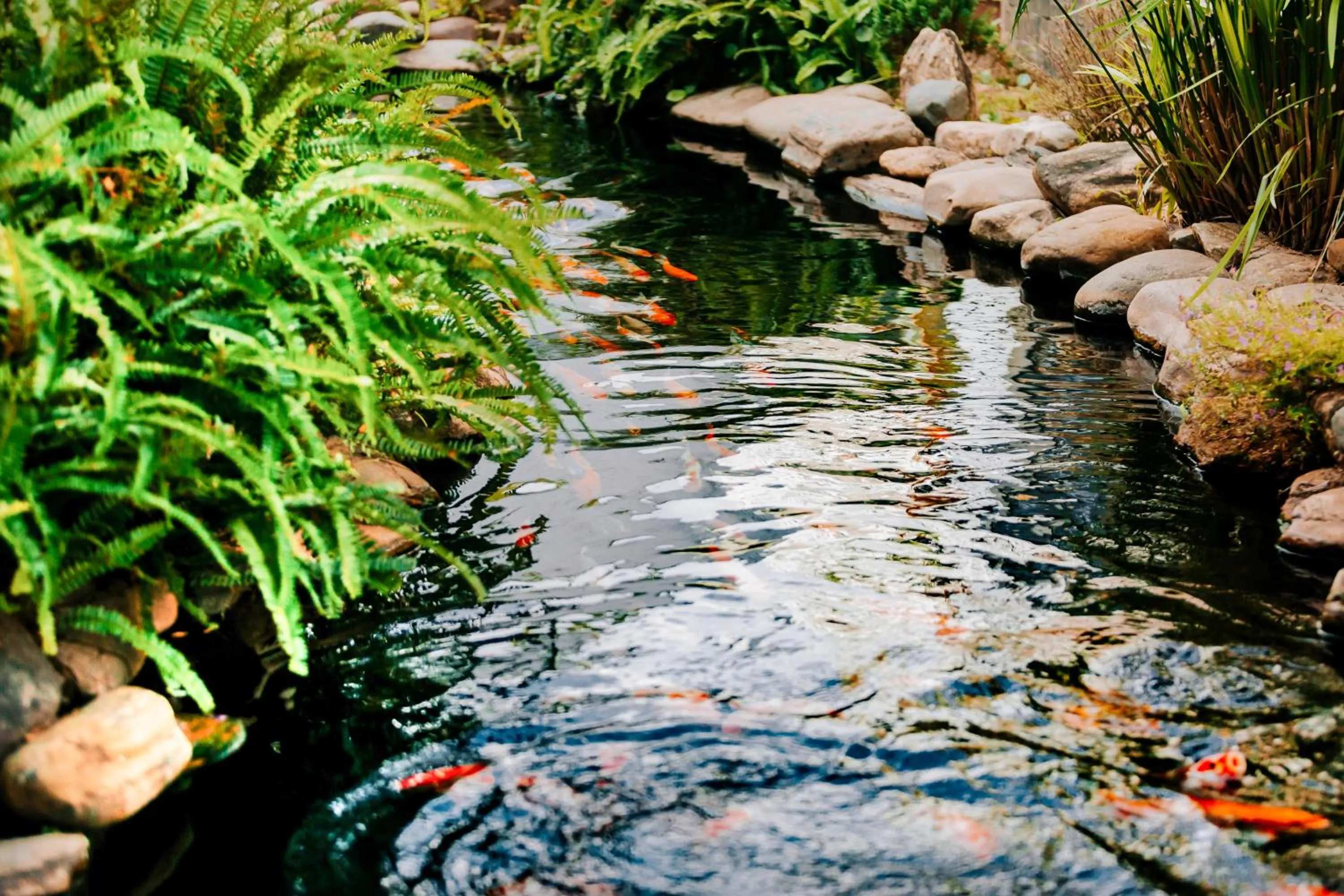 Lake view in Window Homestay