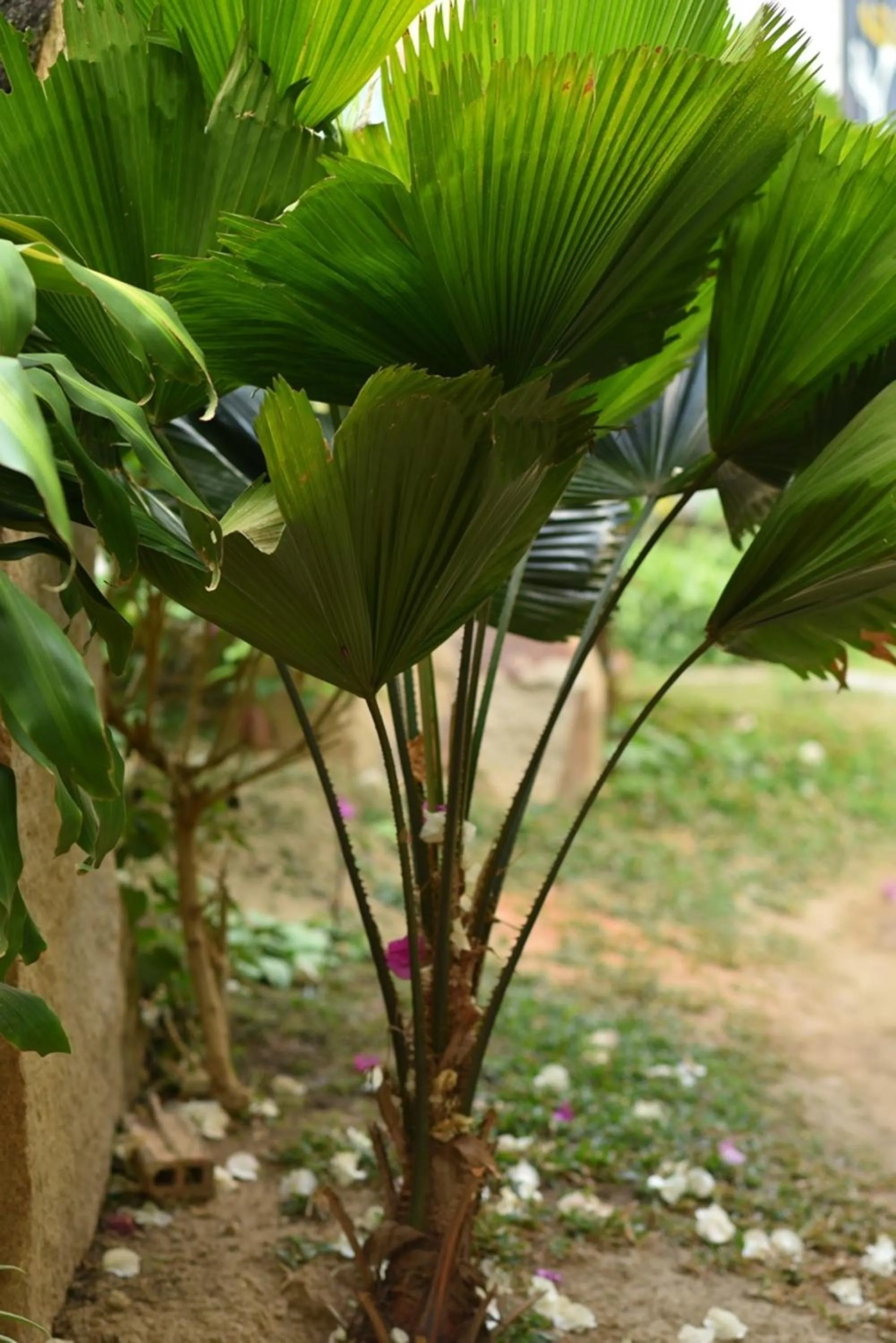 Day in Window Homestay