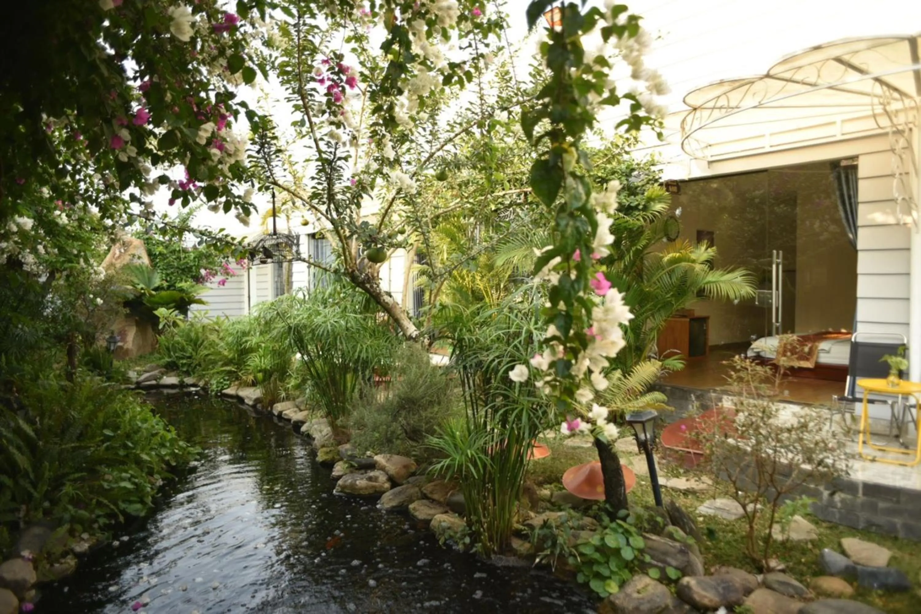 Garden view in Window Homestay