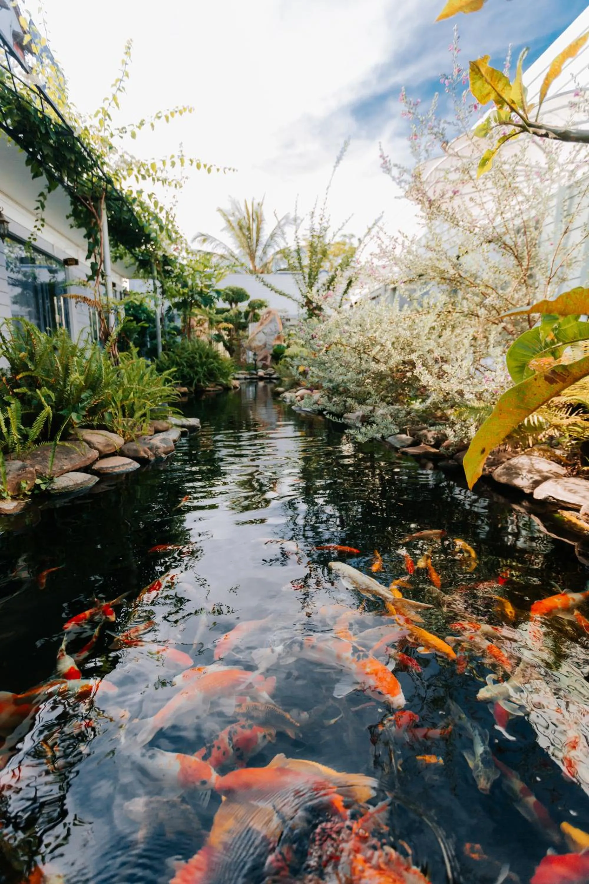 Lake view in Window Homestay