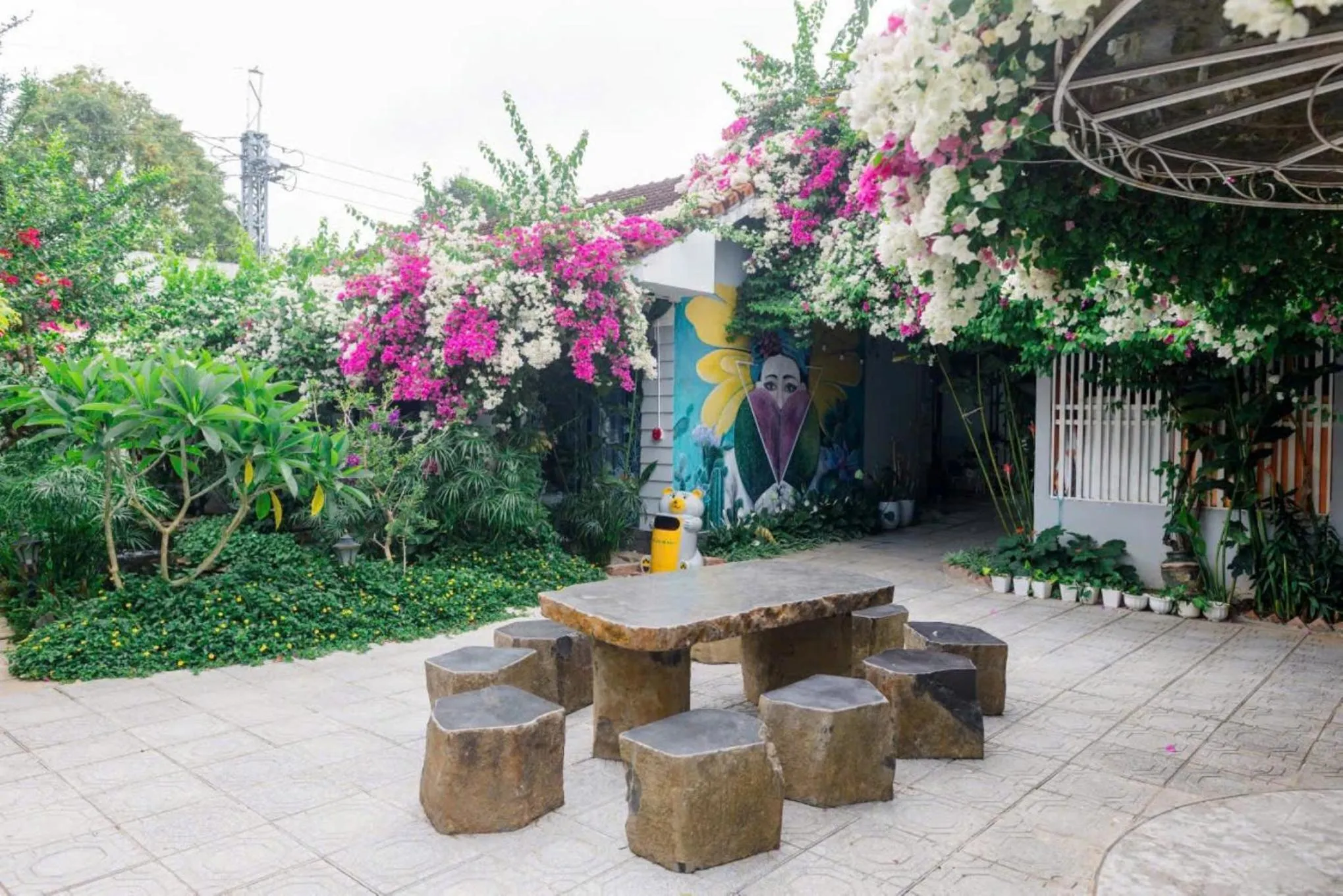 Garden in Window Homestay