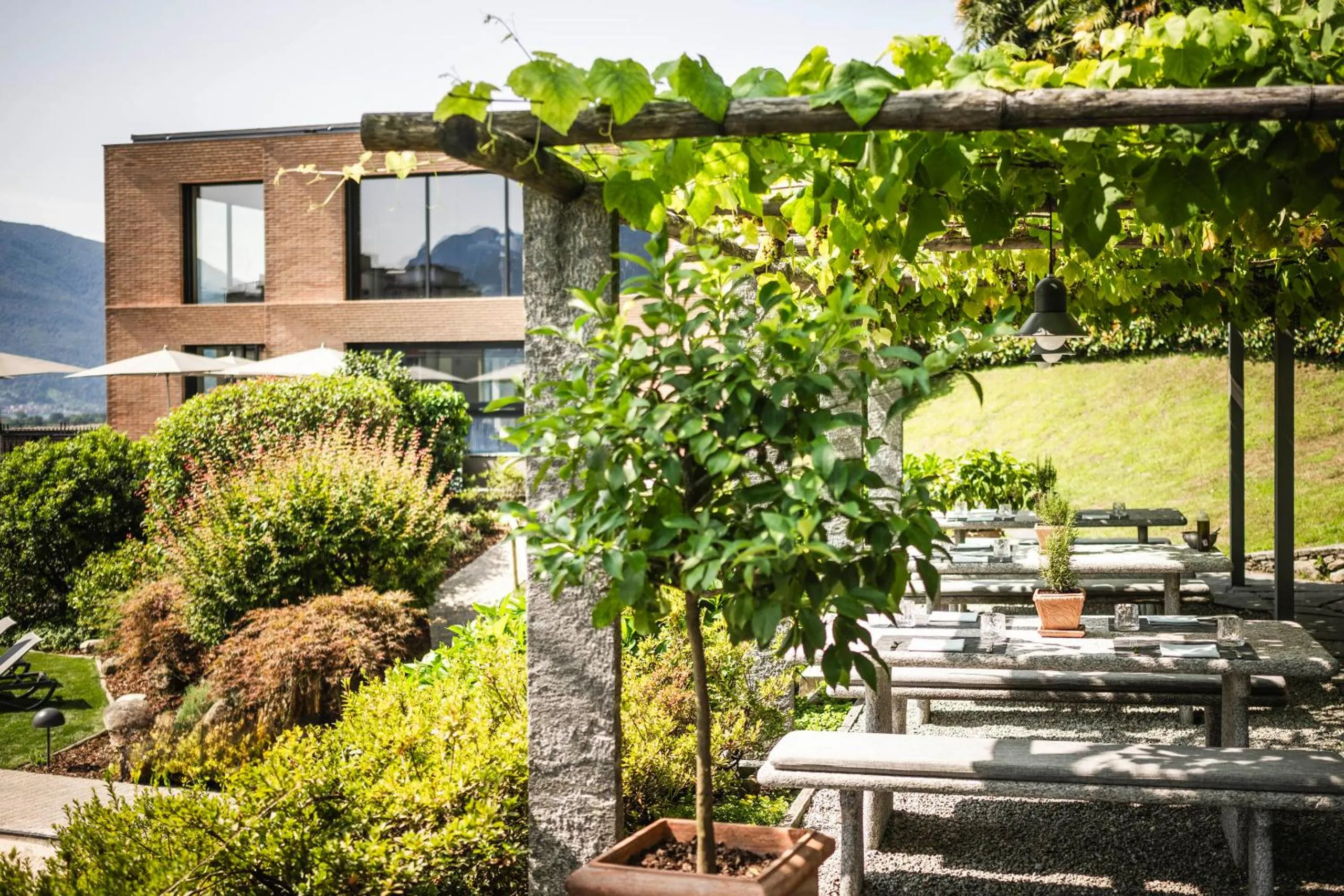 Garden in Hotel Belvedere Locarno