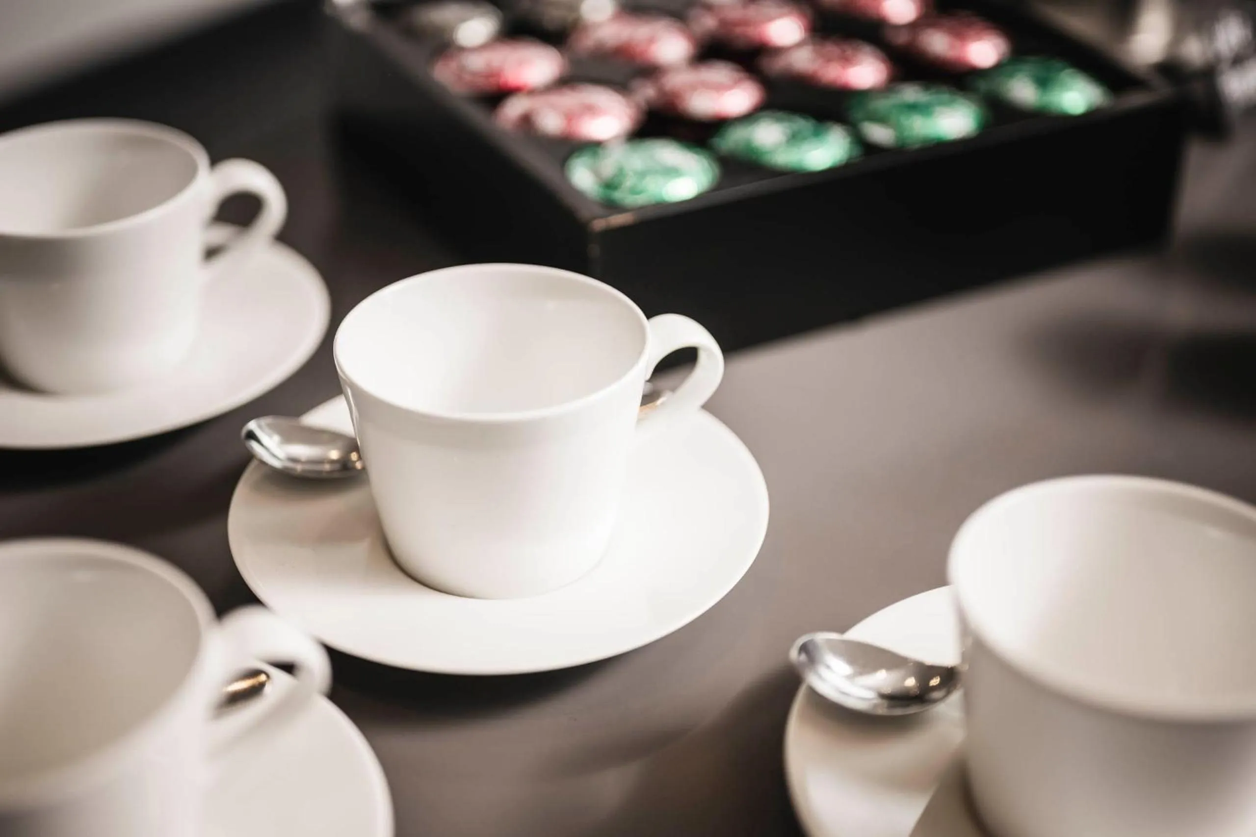 Meeting/conference room in Hotel Belvedere Locarno