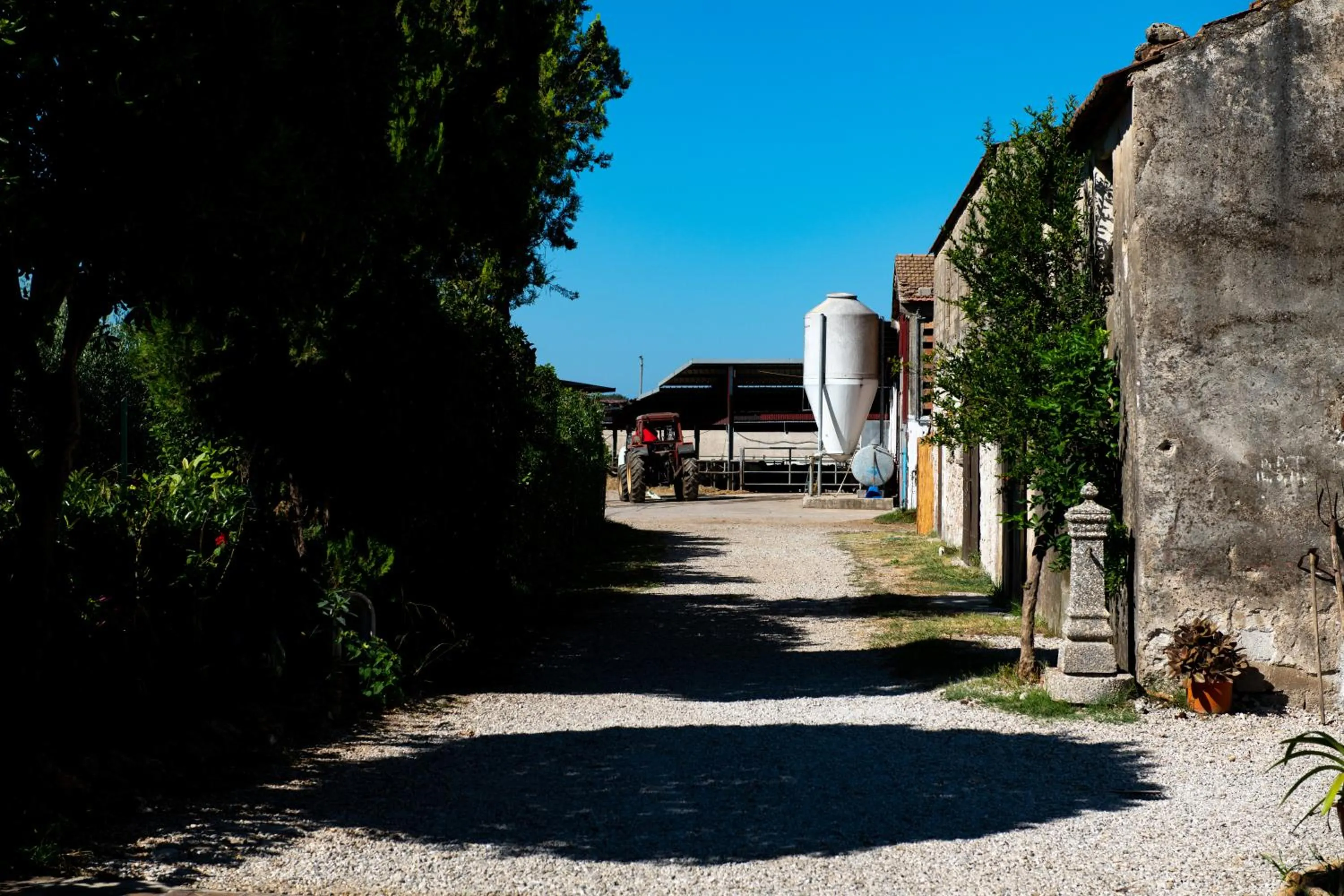 Property building in Dimora Iannelli - B&B Rurale Paestum