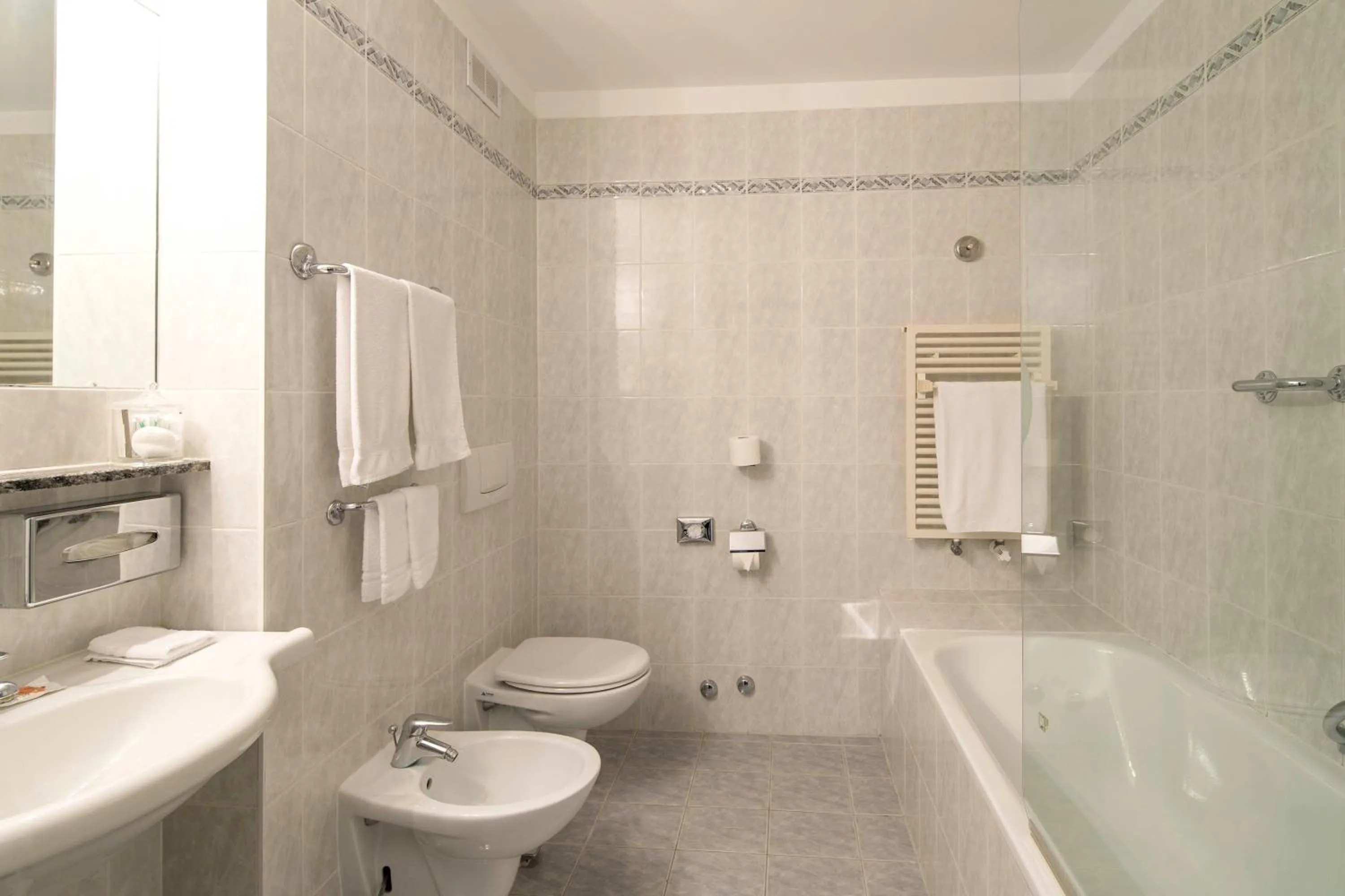 Toilet in Hotel Campione