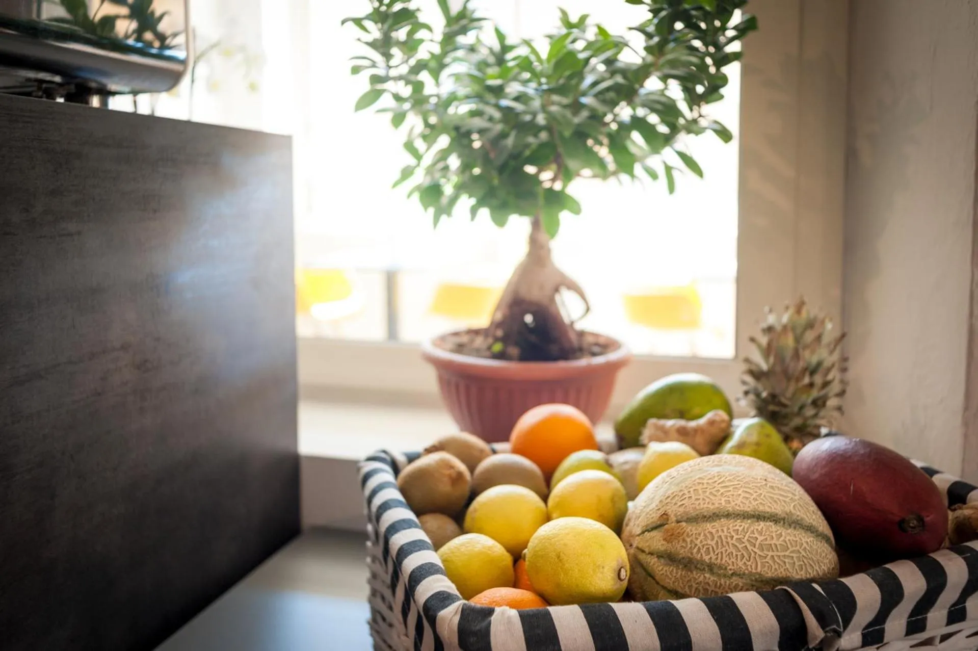 Food and drinks in Hotel Perla