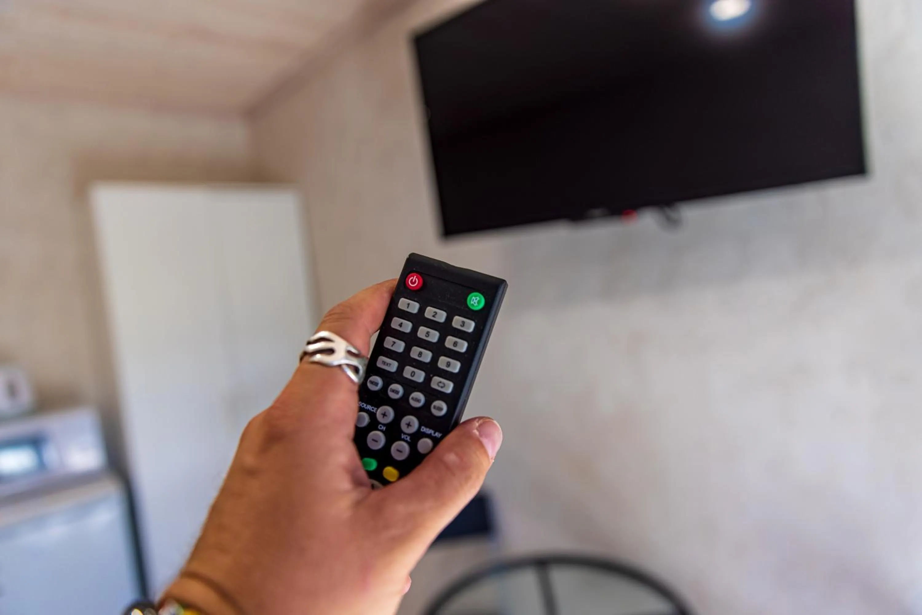 TV and multimedia in Poilsio namai Banga Sventojoje