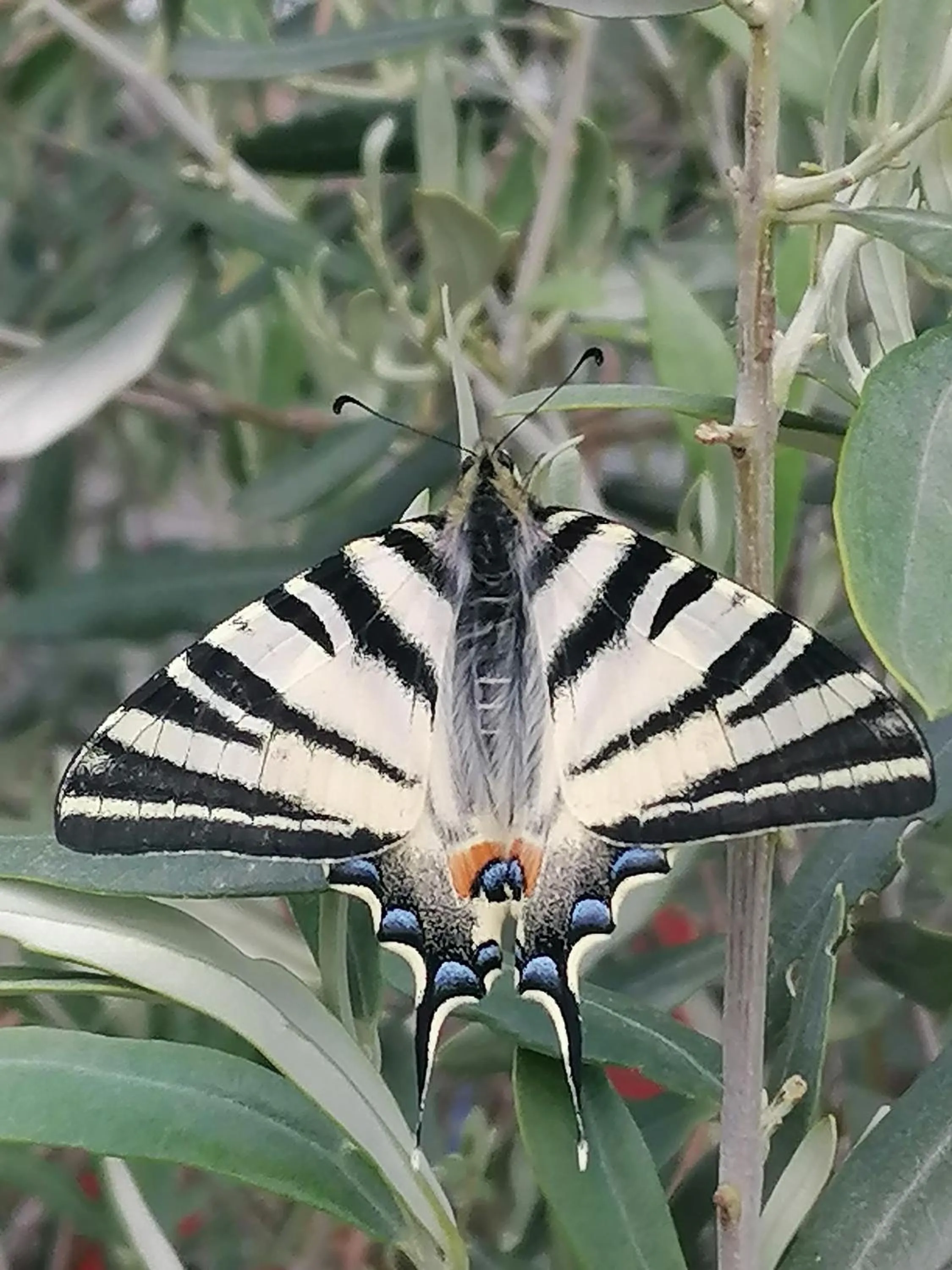 Day in la fée viviane et michel l'enchanteur