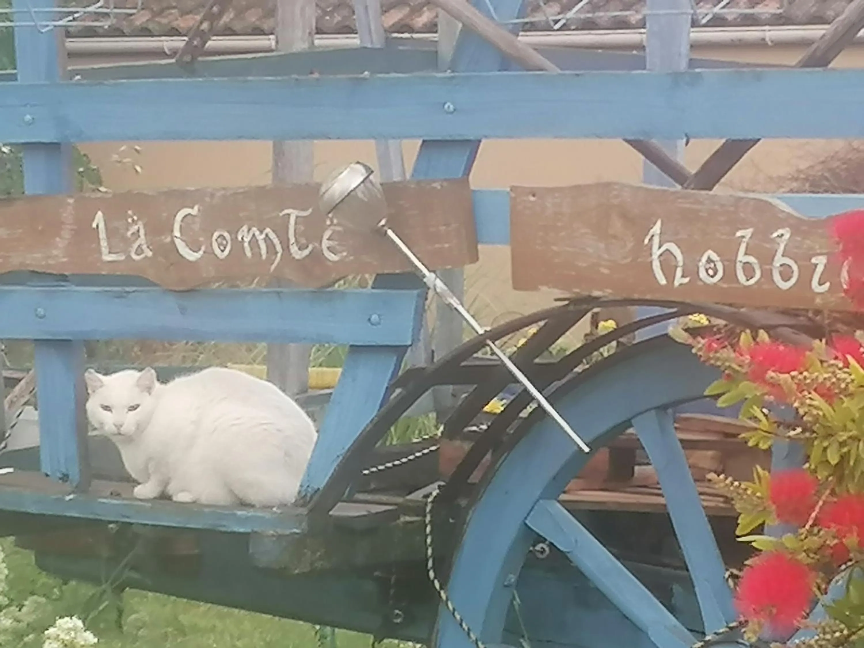 Garden in la fée viviane et michel l'enchanteur