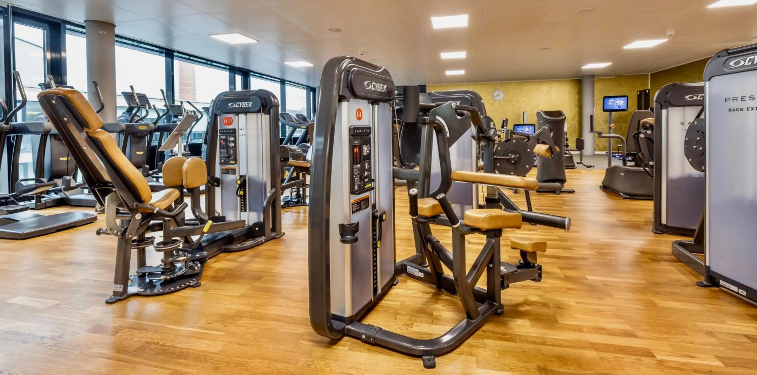 Fitness centre/facilities in The Home Hotel Zürich - a member of DESIGN HOTELS