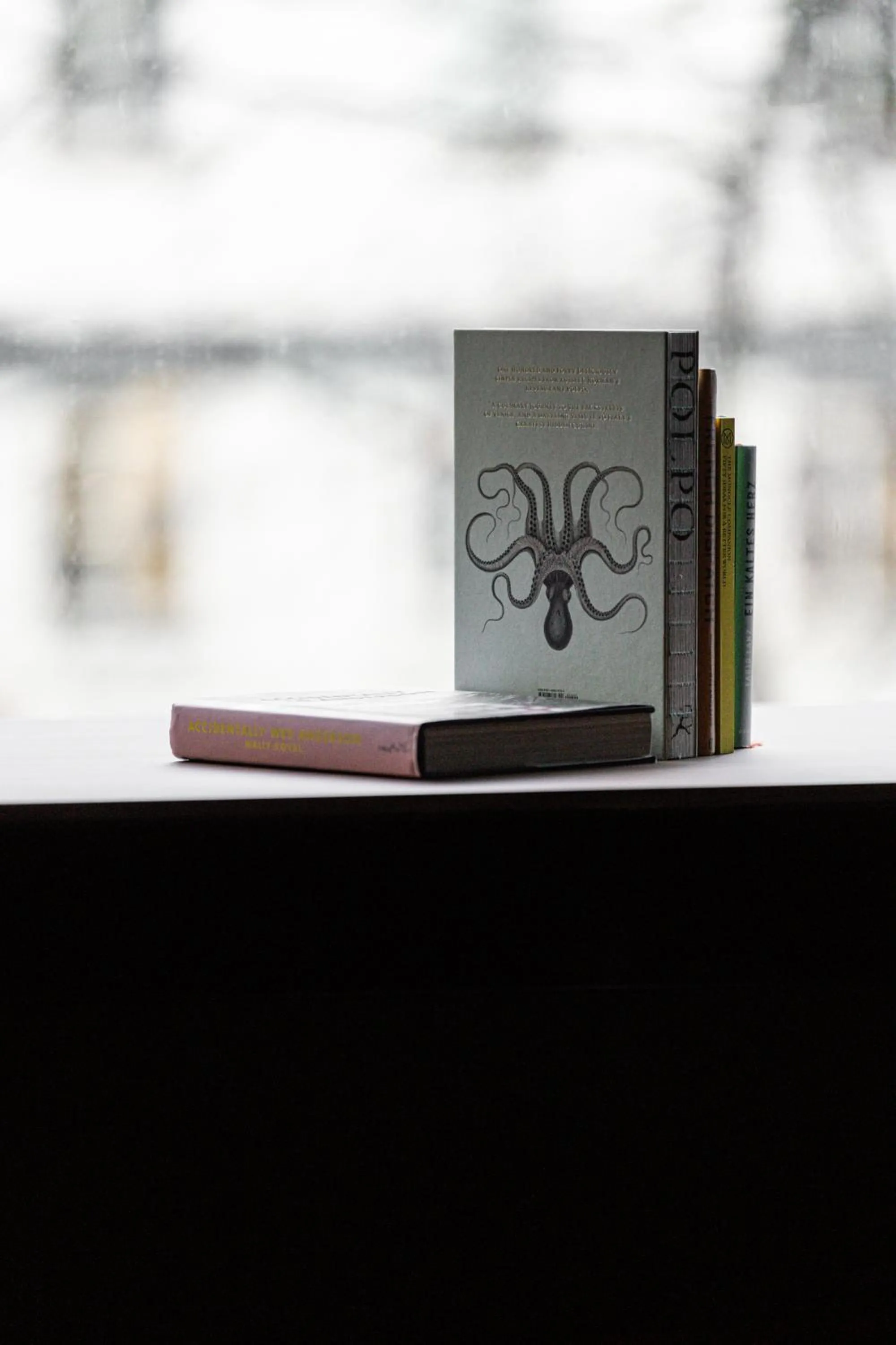 Library in becozy Self Check-in & Pop-up Hotel Sihlcity