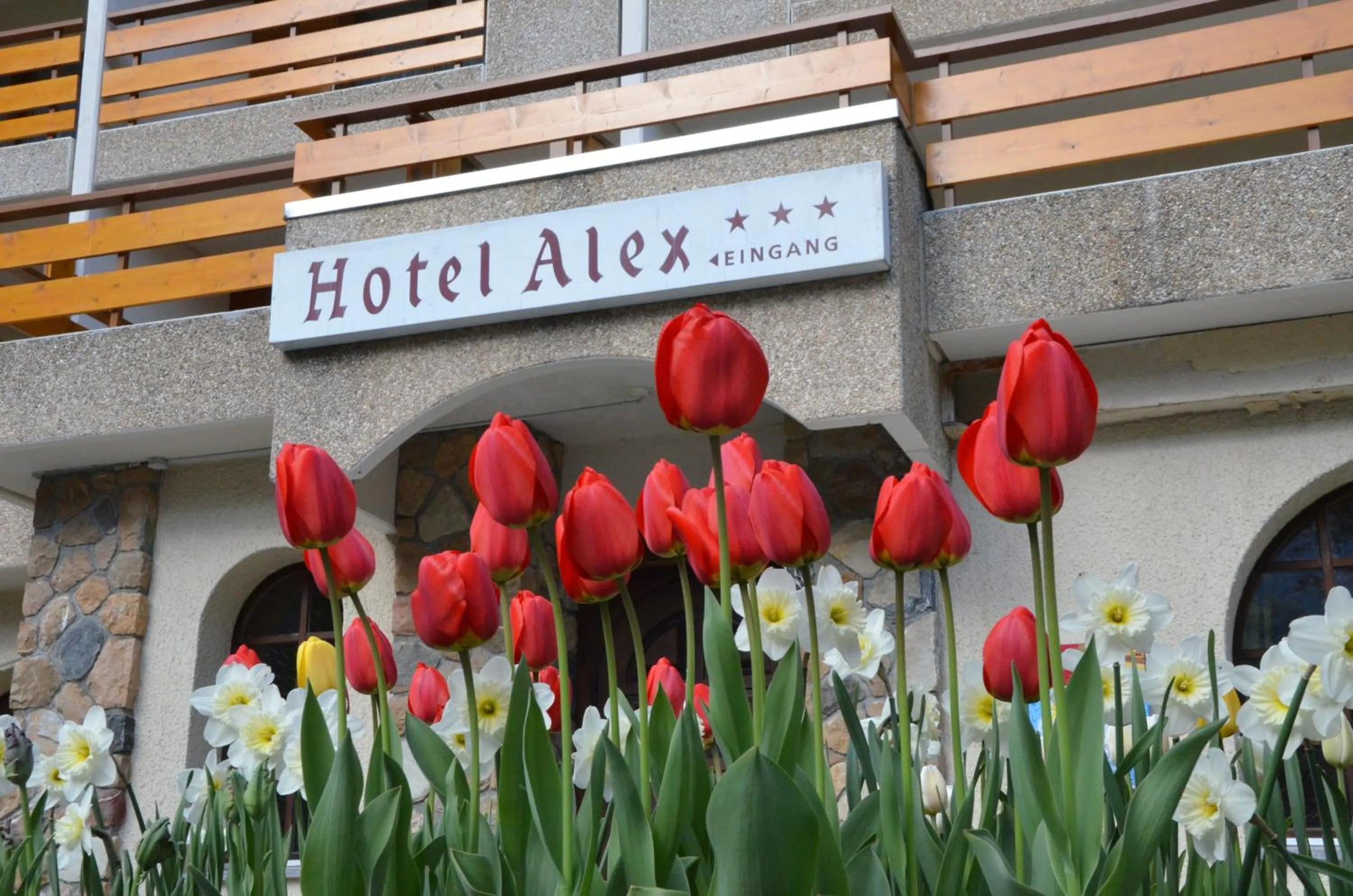Facade/entrance in Hotel Alex