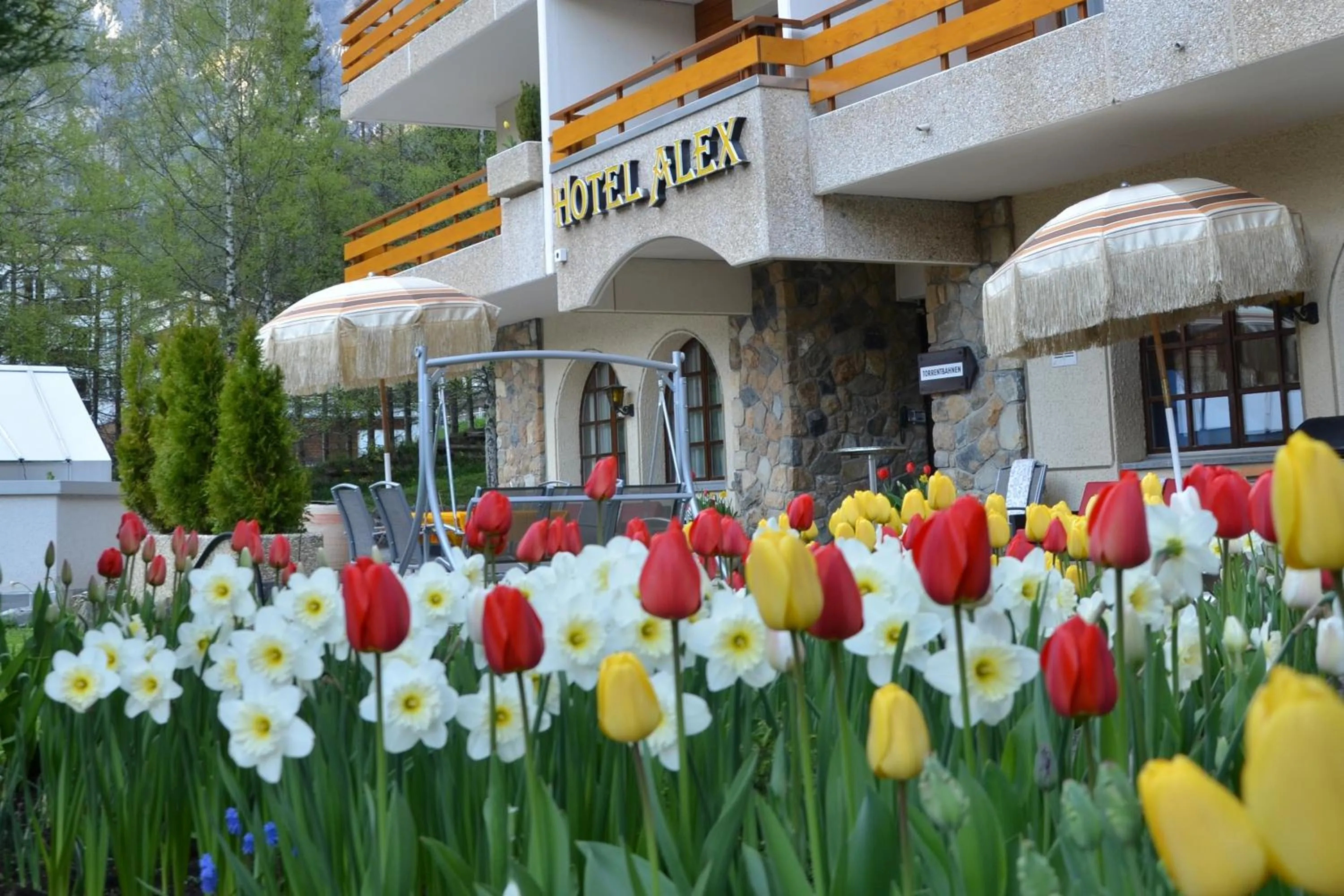 Facade/entrance in Hotel Alex