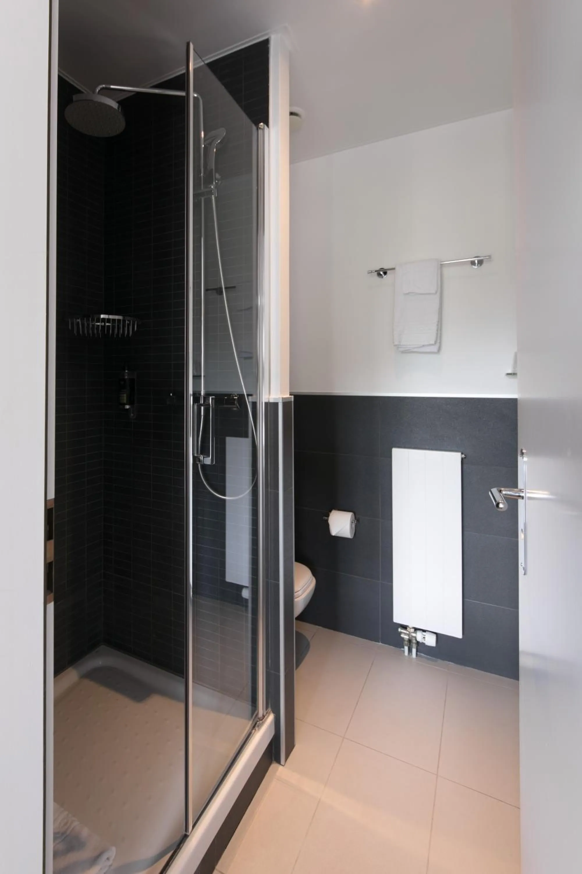 Shower in Hôtel Prealpina