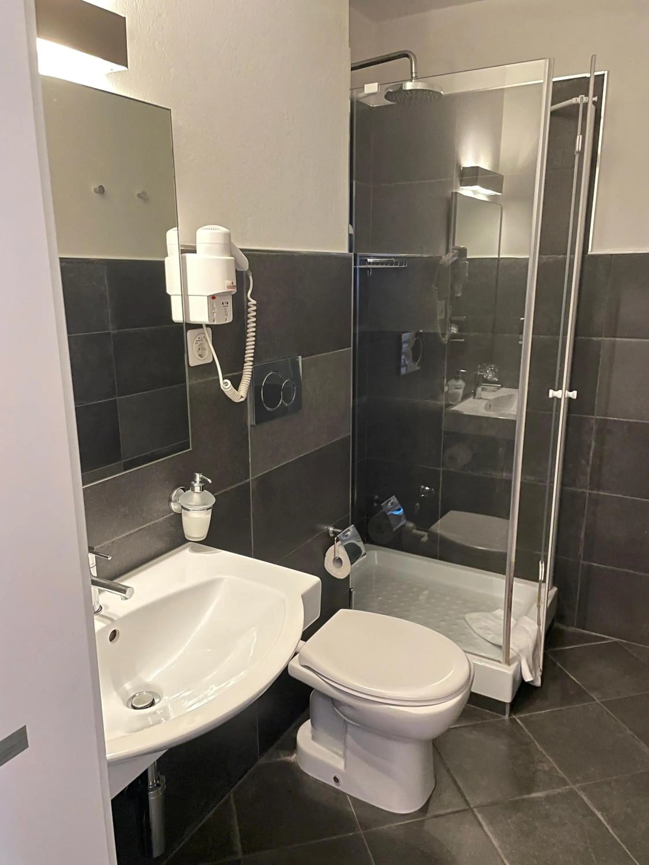 Shower in Hotel Europe Brig